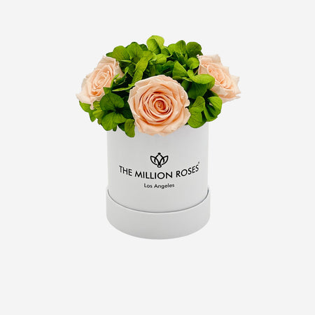 Basic White Garden Box | Peach Roses