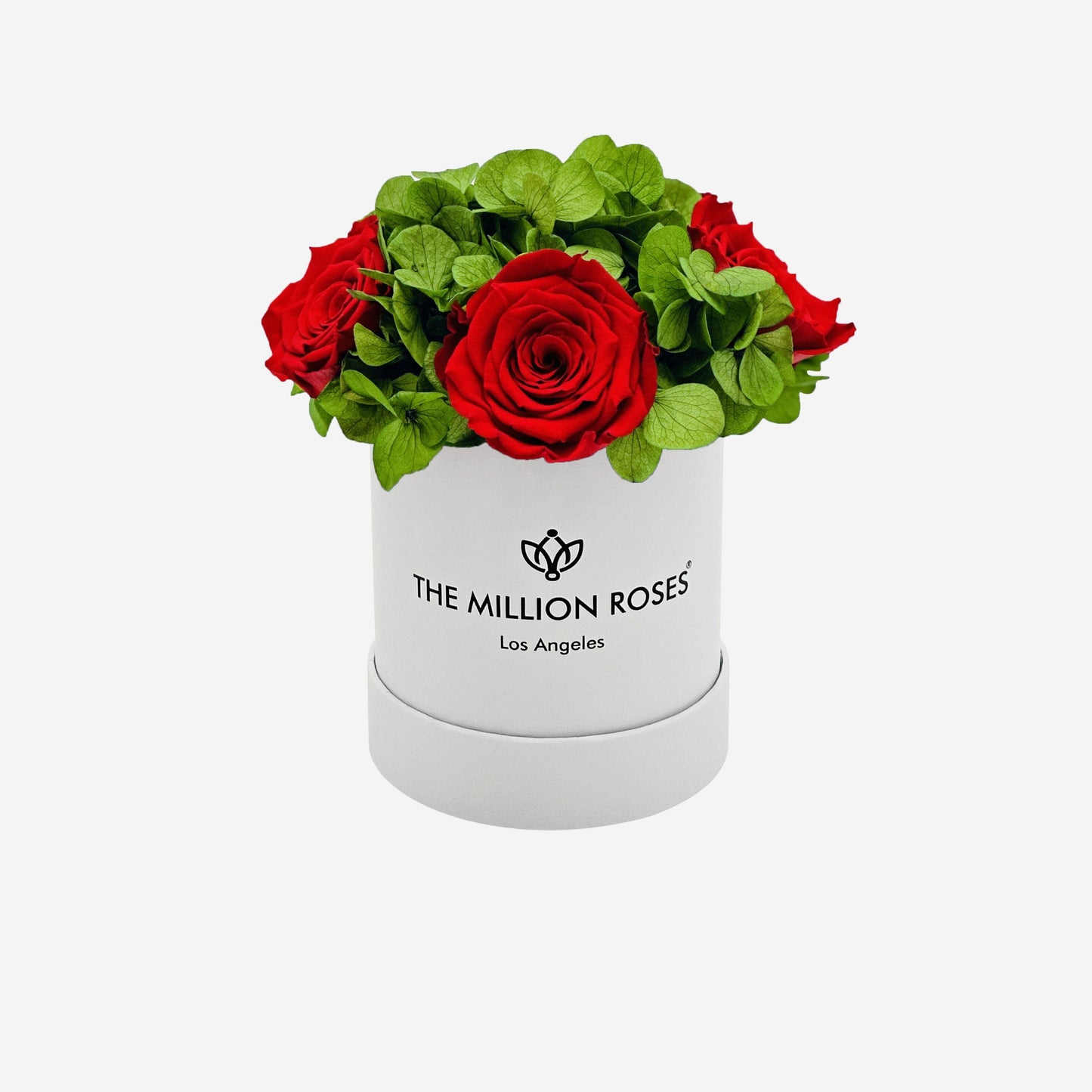 Basic White Garden Box | Red Roses