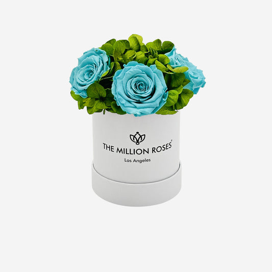 Basic White Garden Box | Turquoise Roses