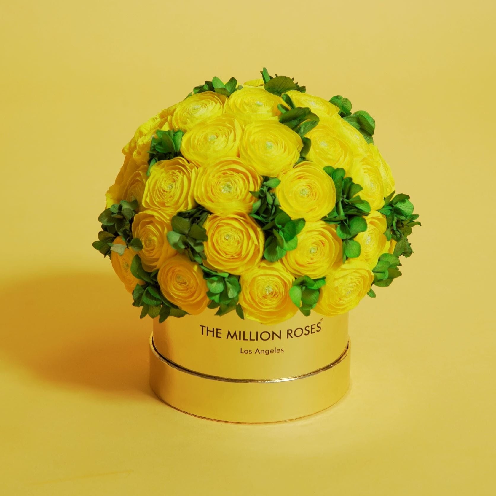 Classic Mirror Gold Box | Yellow Persian Buttercups & Green Hydrangeas - The Million Roses