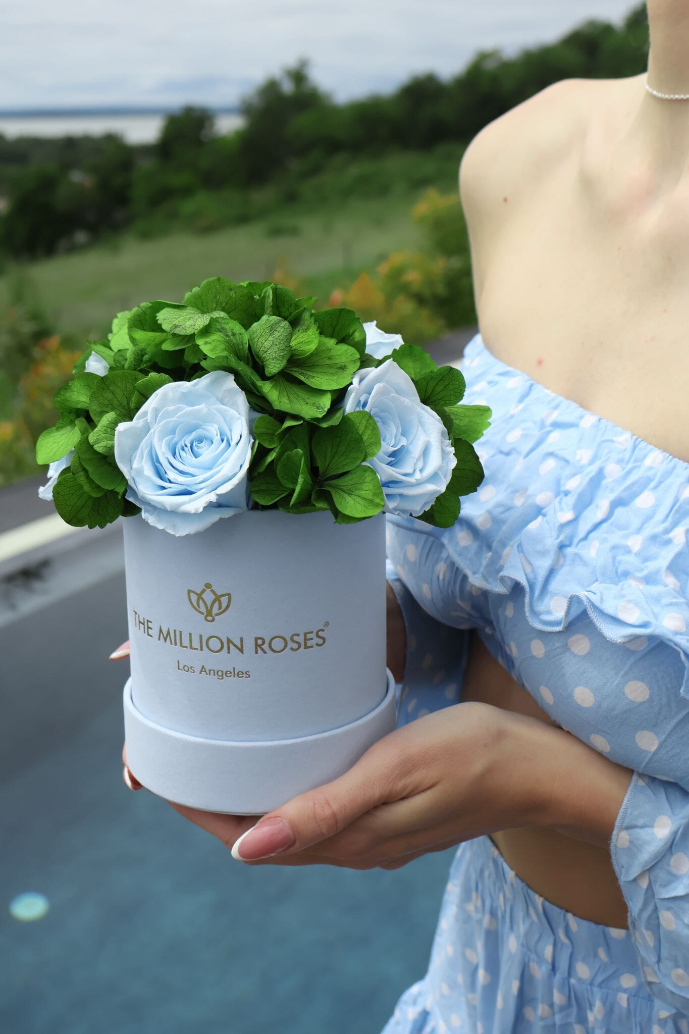 Basic Light Blue Suede Garden Box Light Blue Roses