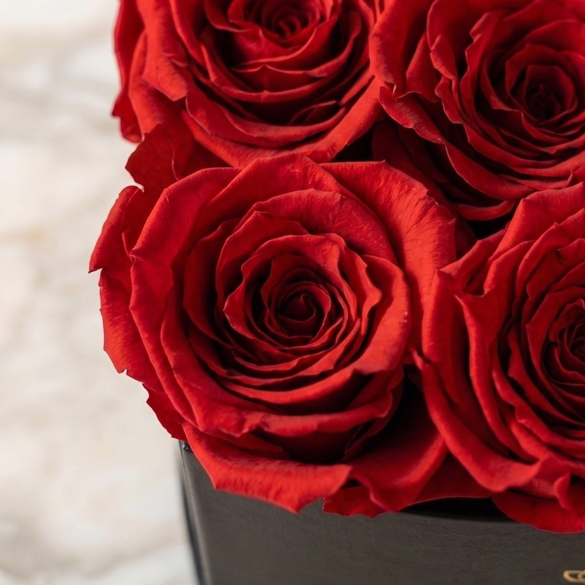 Red Roses - Preserved & Forever Roses in a Box | The Million Roses®
