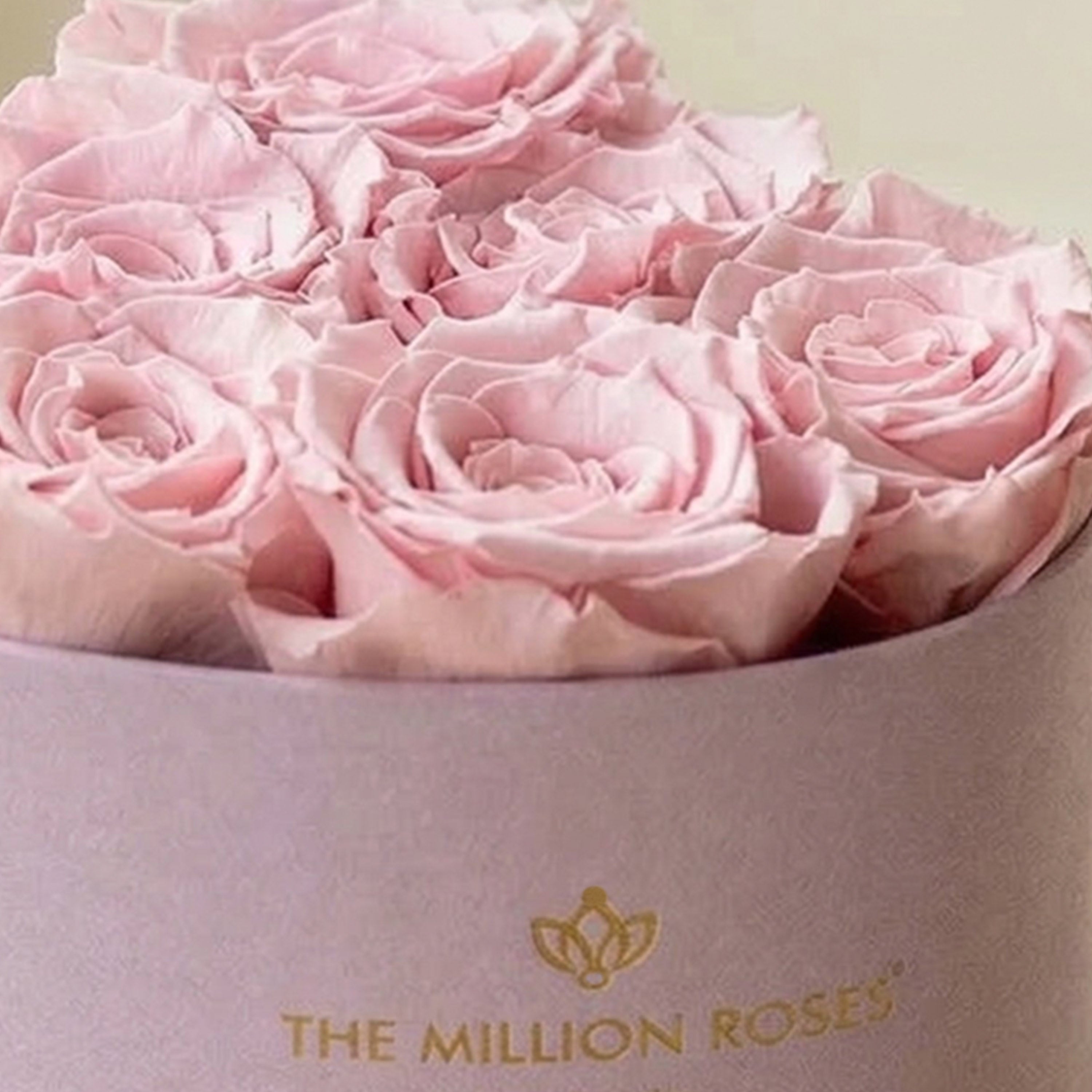Baby Heart Light Pink Box | Light Pink Roses
