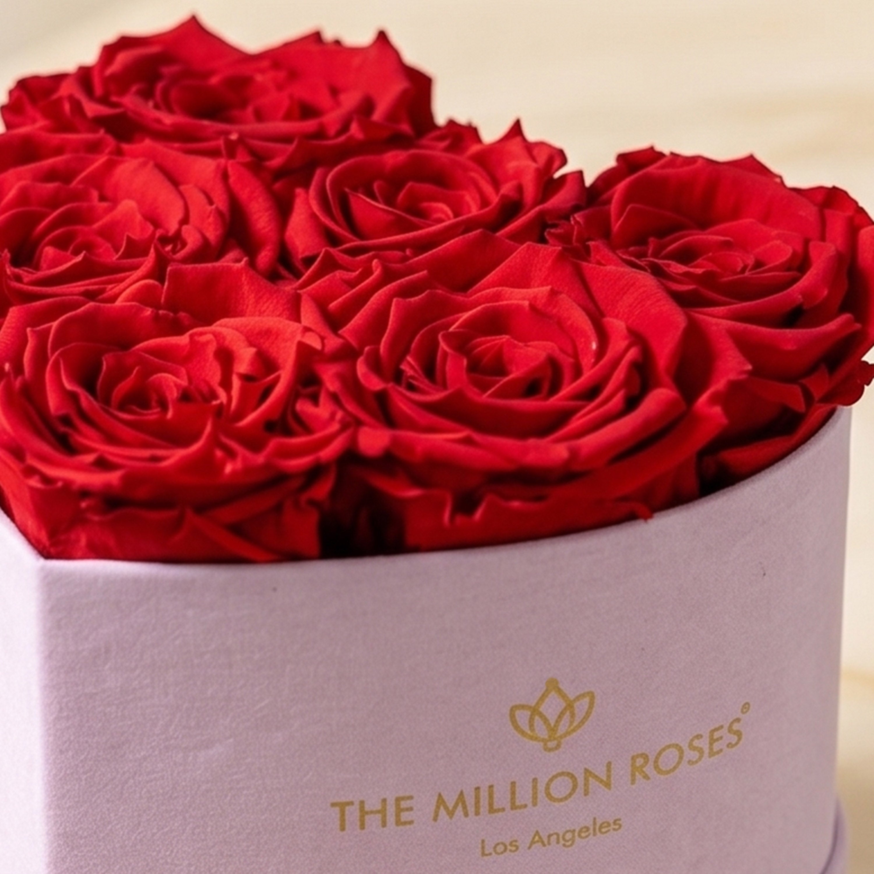 Baby Heart Light Pink Box | Red Roses
