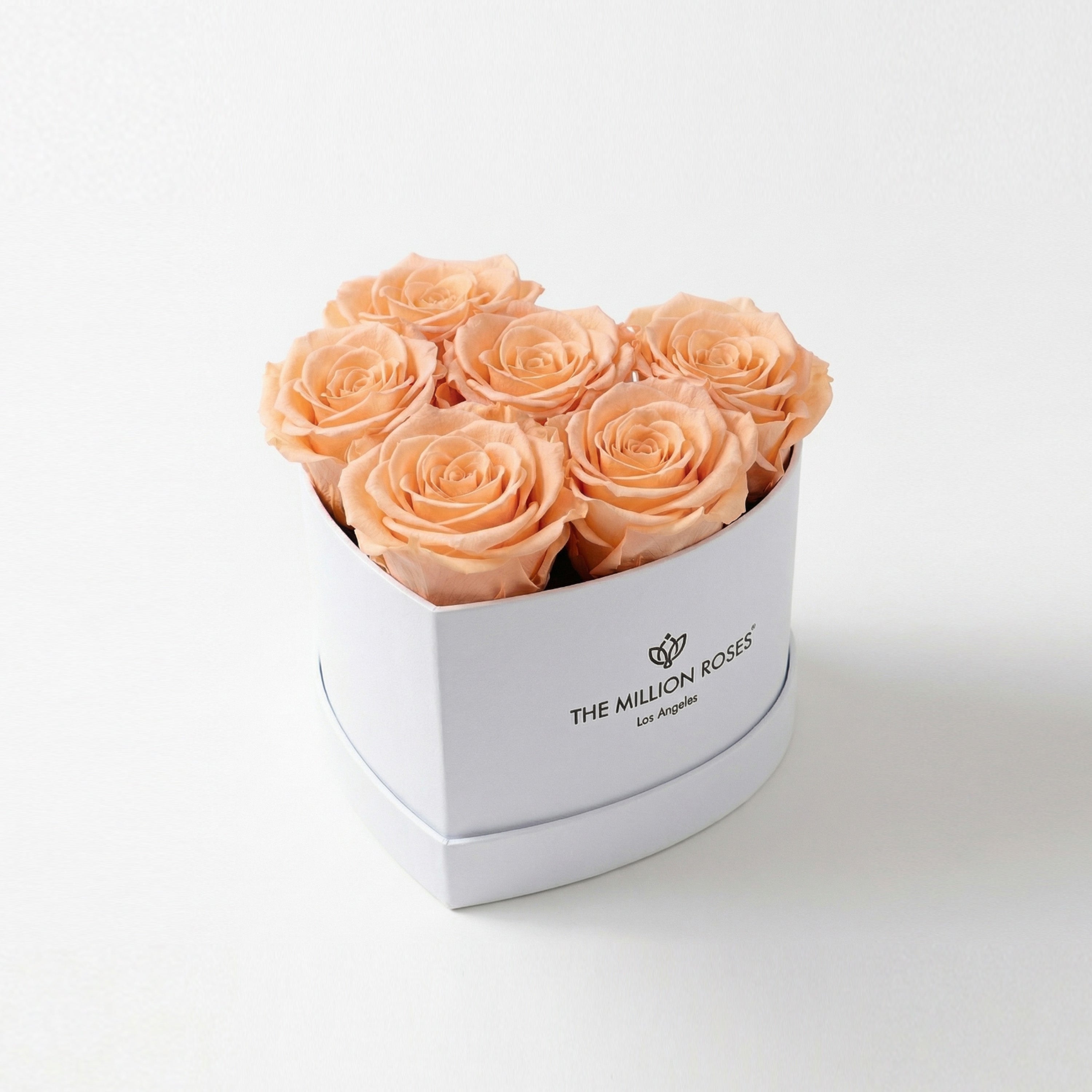 Baby Heart White Box | Peach Roses