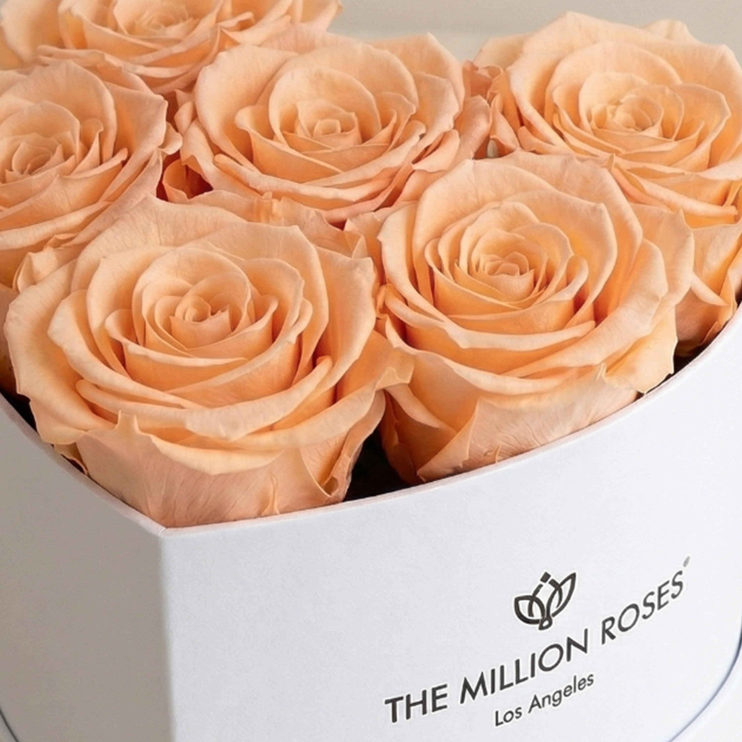 Baby Heart White Box | Peach Roses