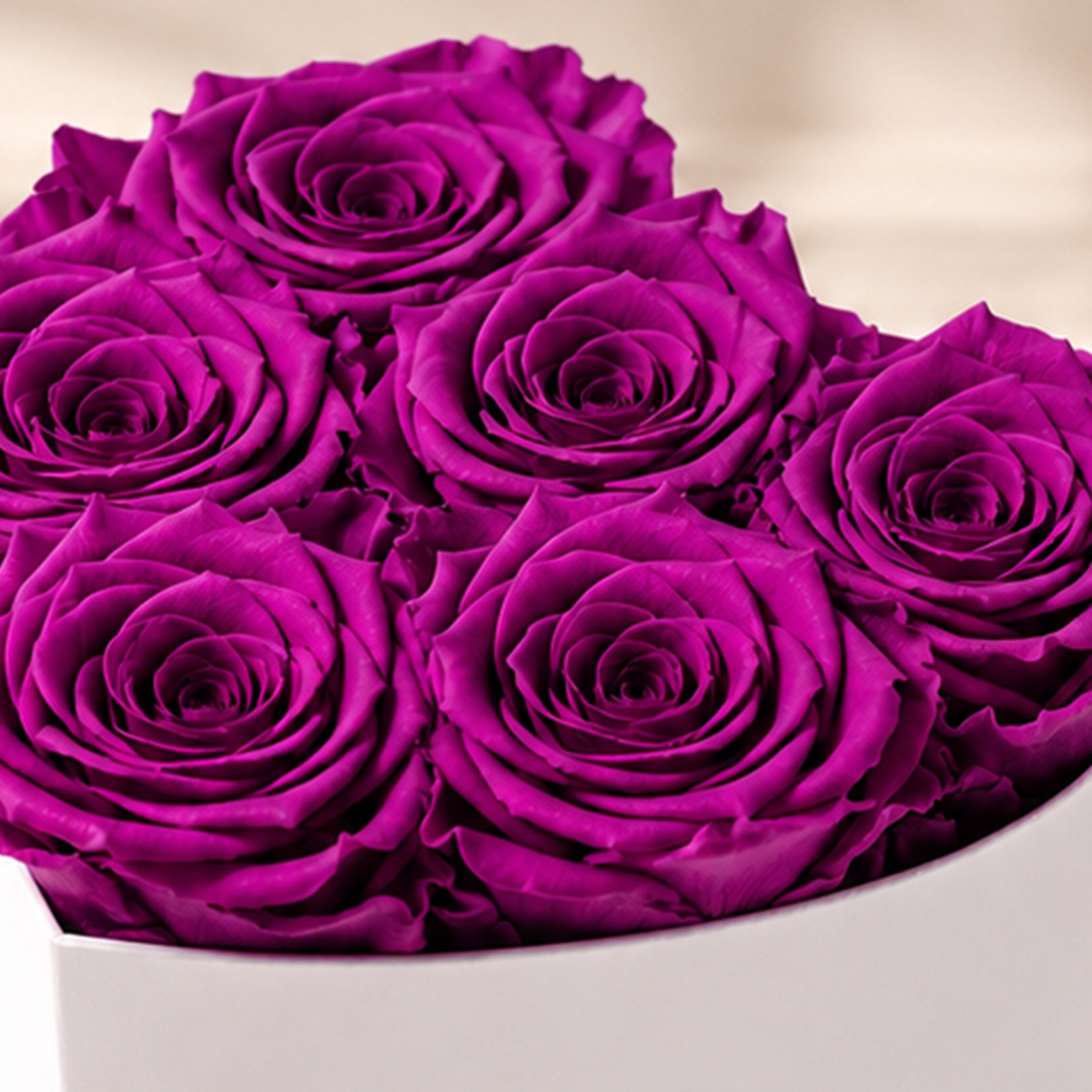 Baby Heart White Box | Bright Purple Roses