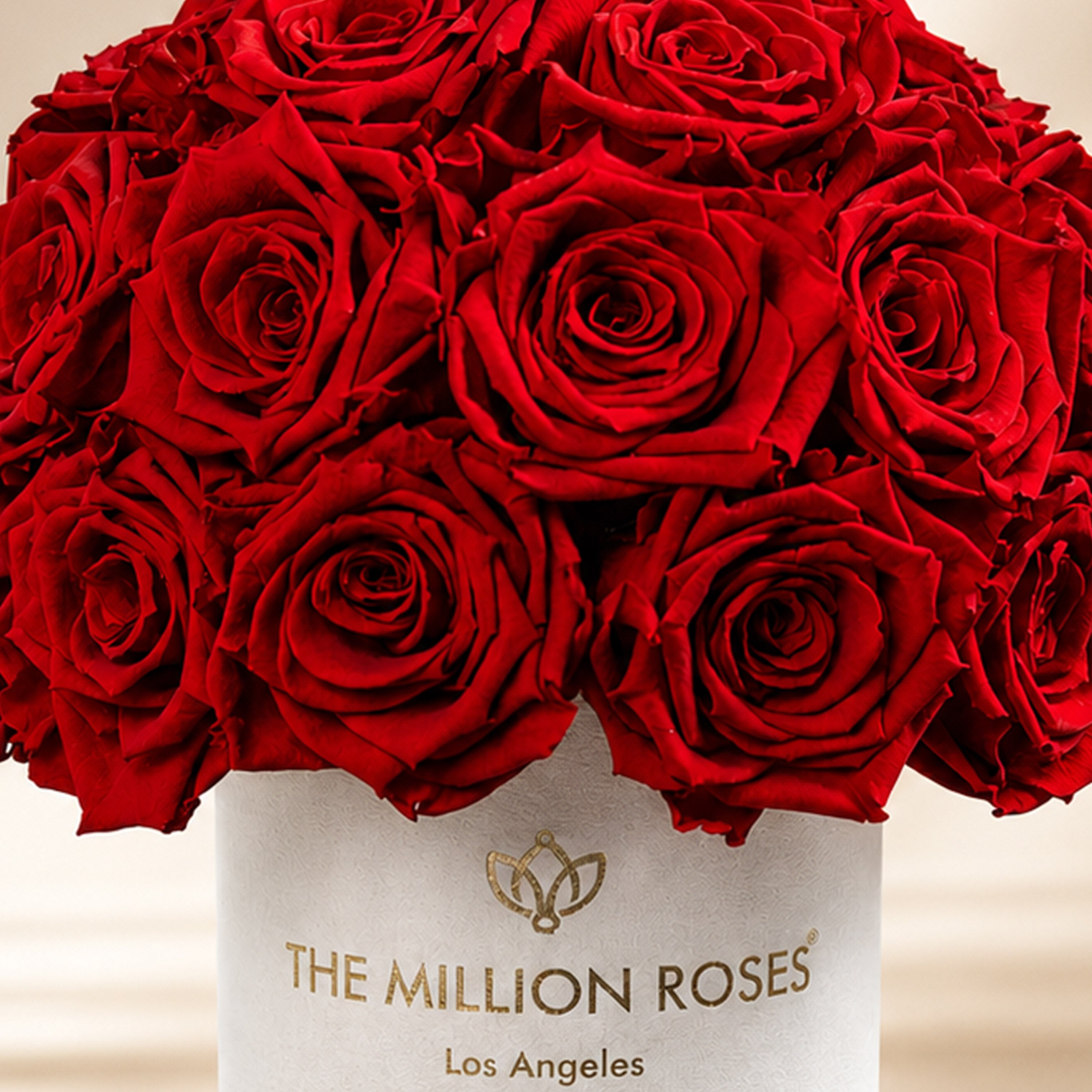 Basic Beige Suede Superdome Box | Red Roses