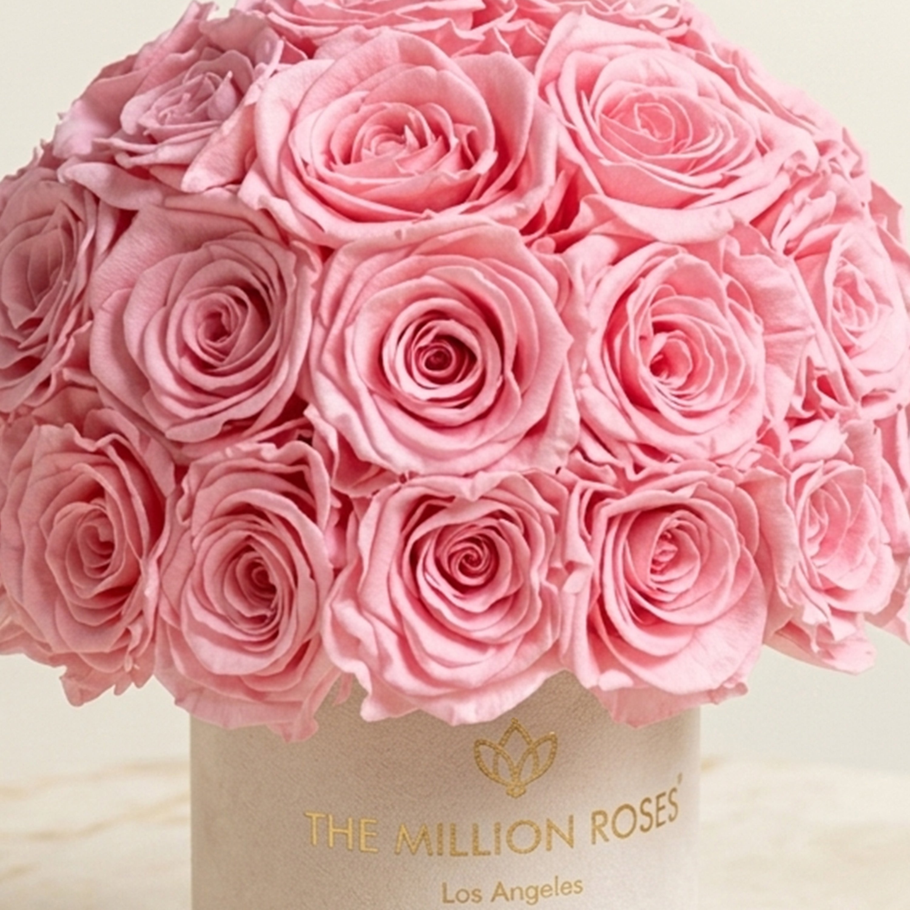 Basic Beige Suede Superdome Box | Light Pink Roses