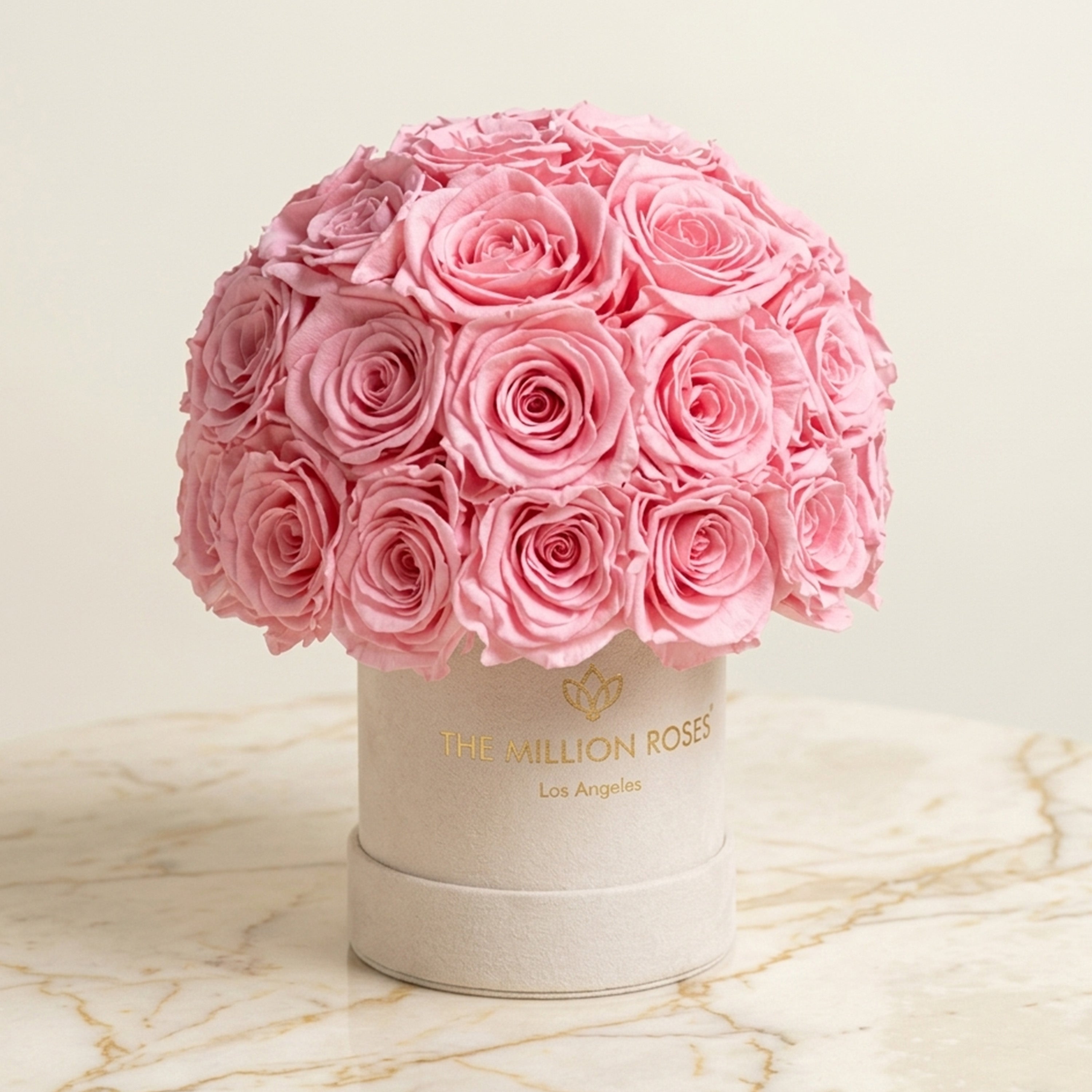 Basic Beige Suede Superdome Box | Light Pink Roses