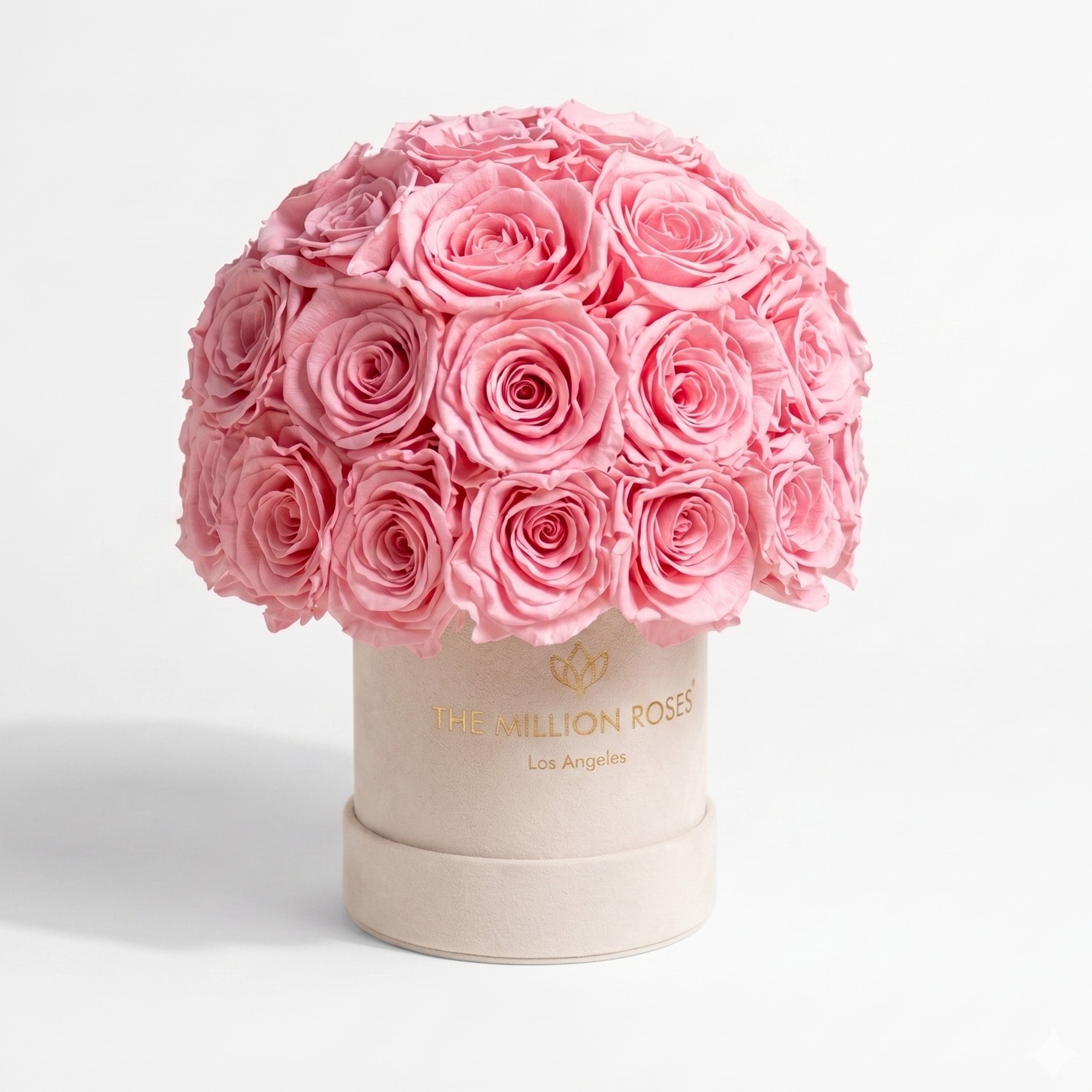 Basic Beige Suede Superdome Box | Light Pink Roses