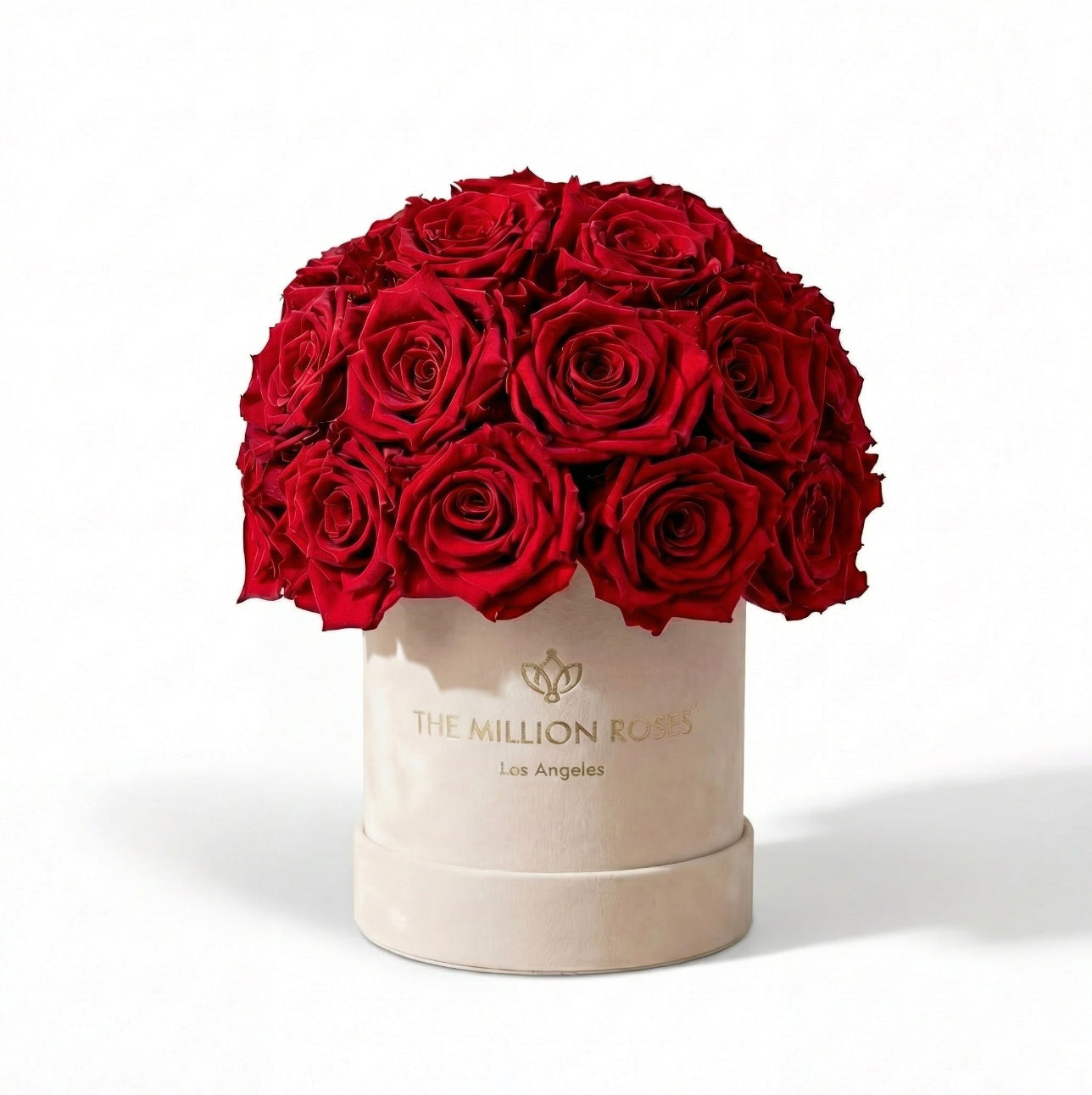 Basic Beige Suede Superdome Box | Red Roses