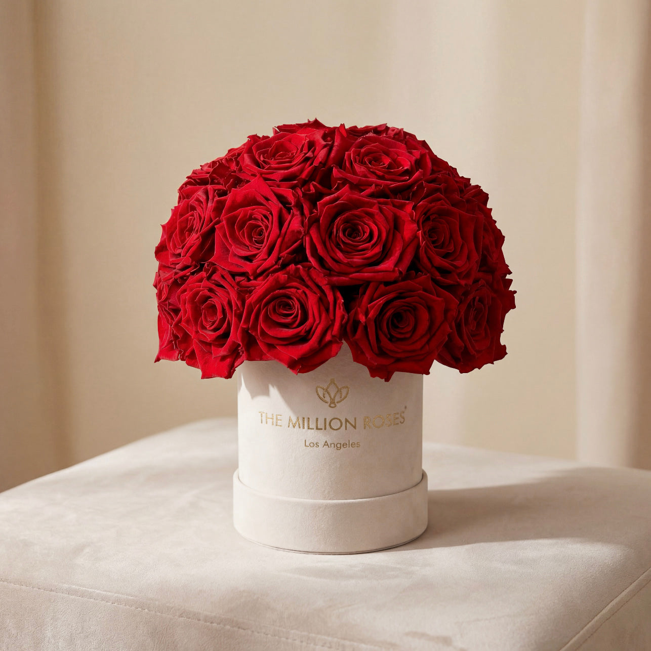 Basic Beige Suede Superdome Box | Red Roses
