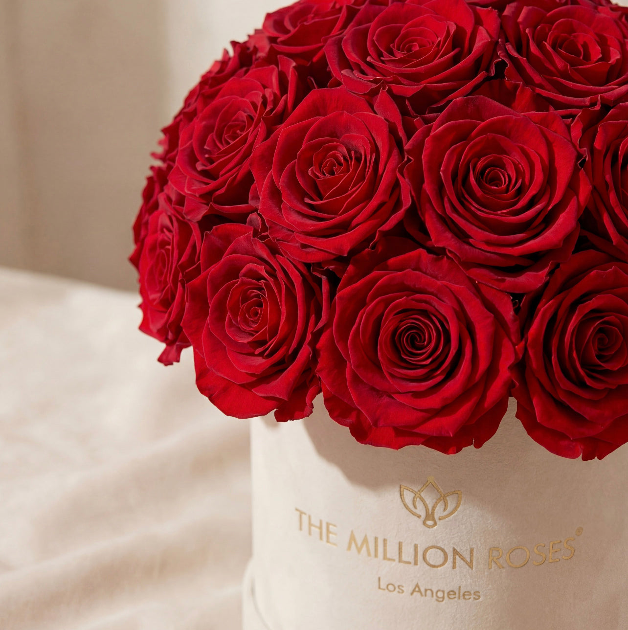 Basic Beige Suede Superdome Box | Red Roses