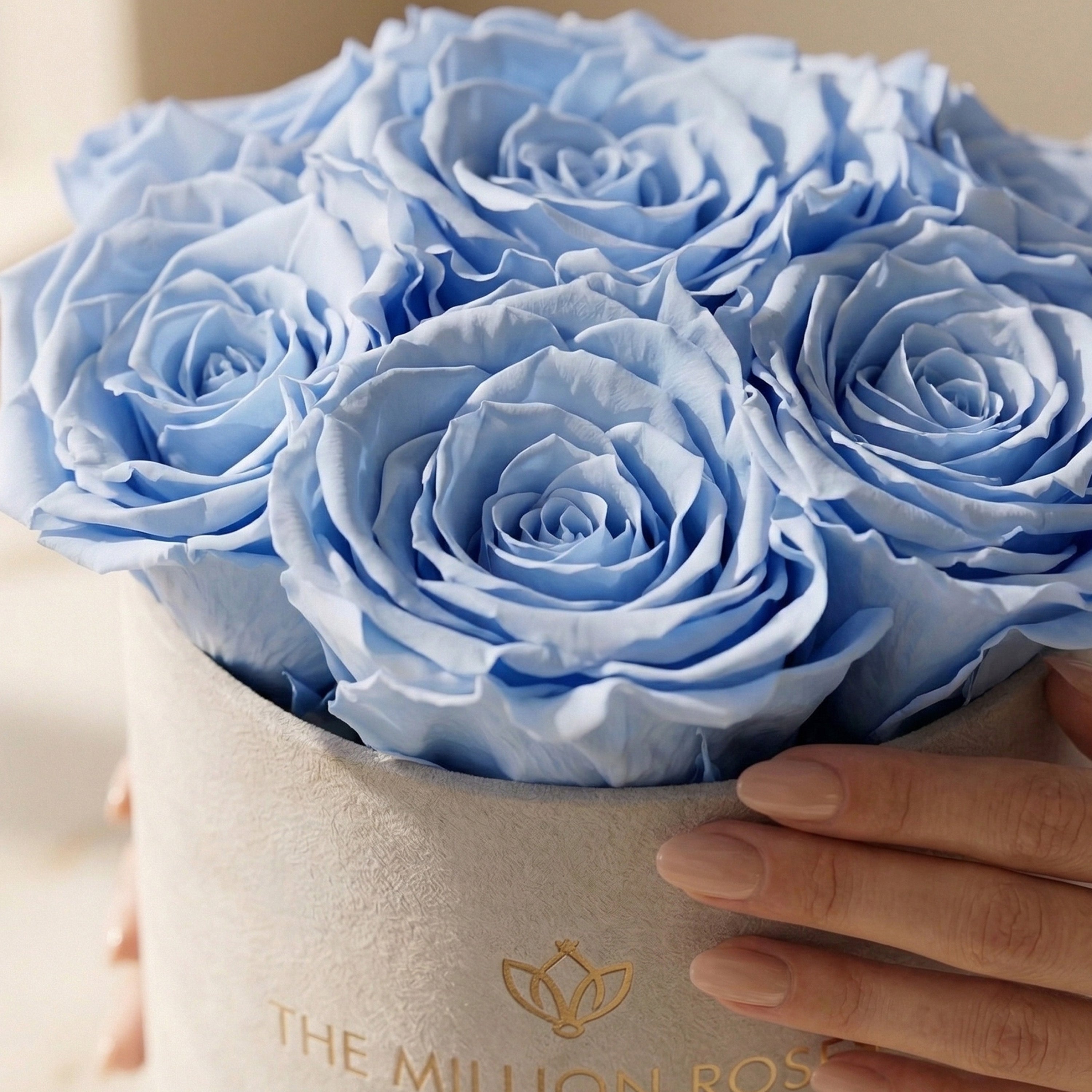 Basic Beige Suede Box | Light Blue Roses