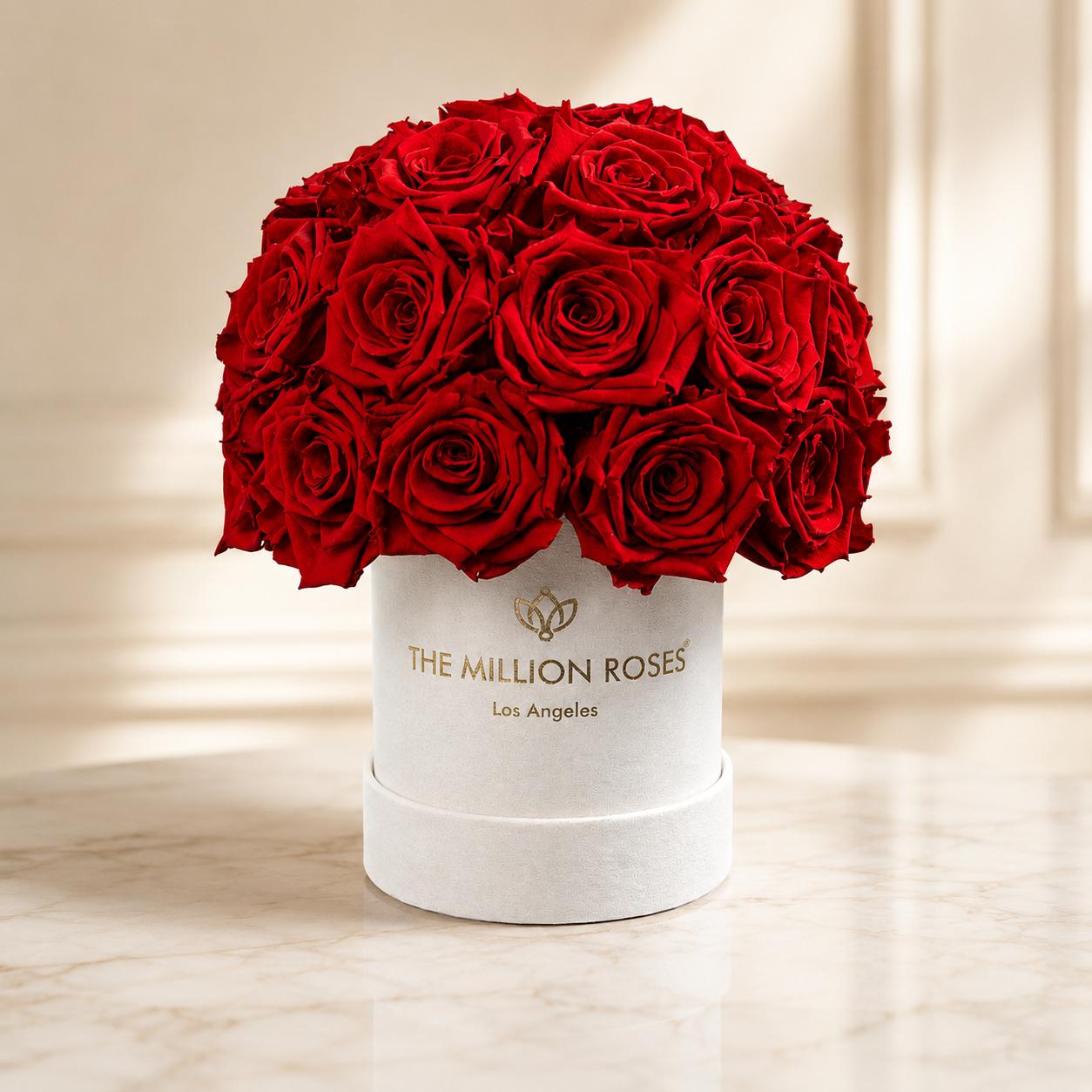 Basic Beige Suede Superdome Box | Red Roses