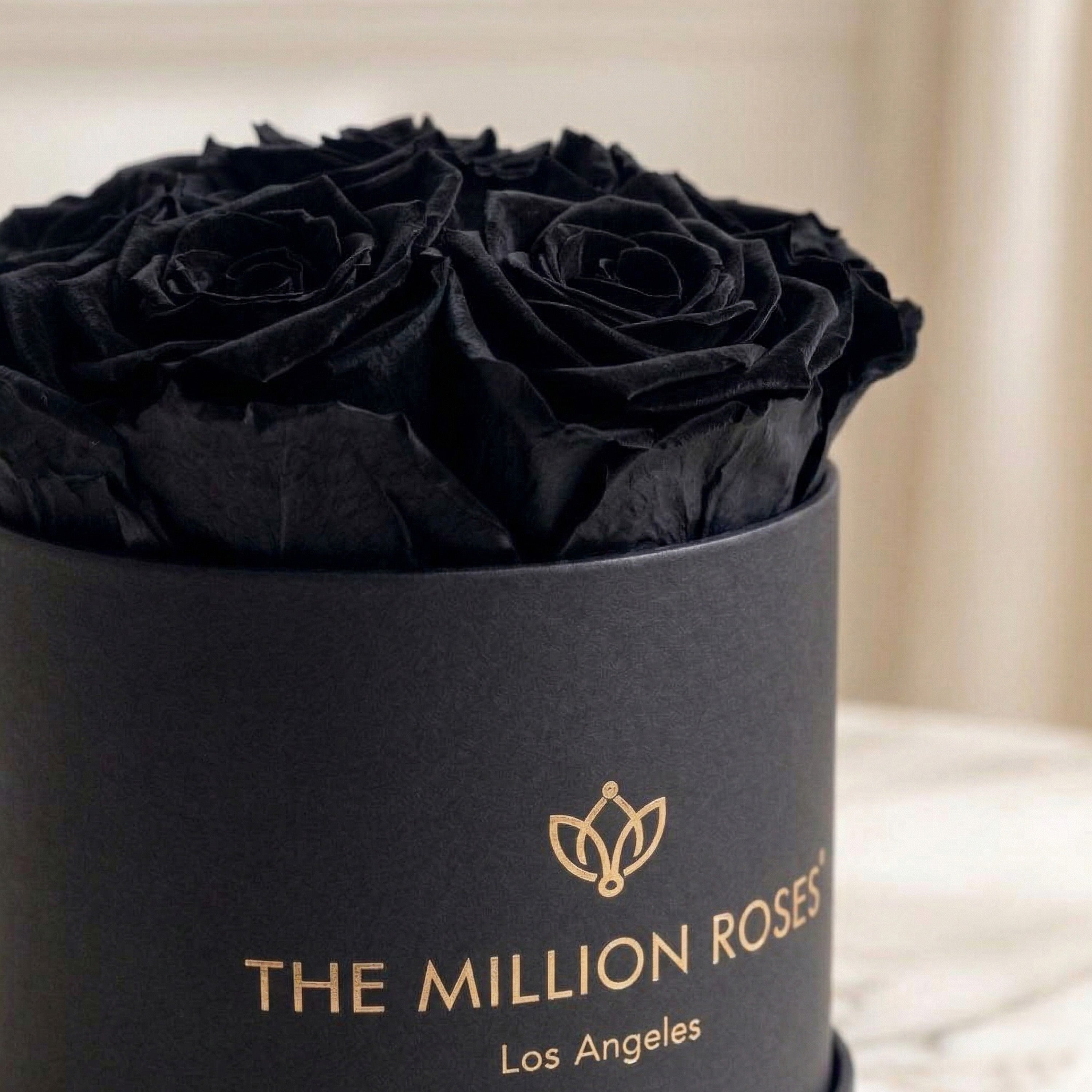 Basic Black Box | Black Roses