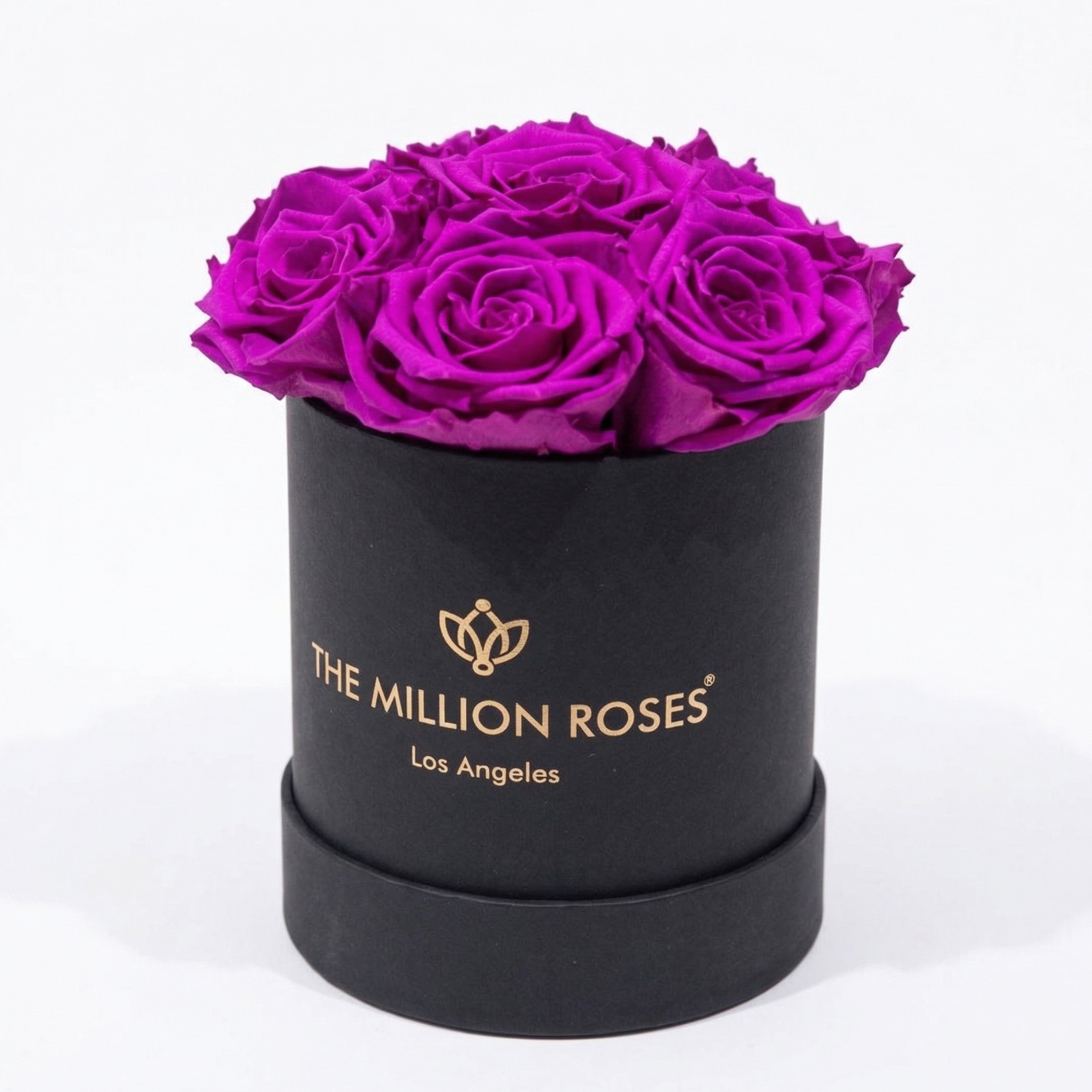 Basic Black Box | Bright Purple Roses