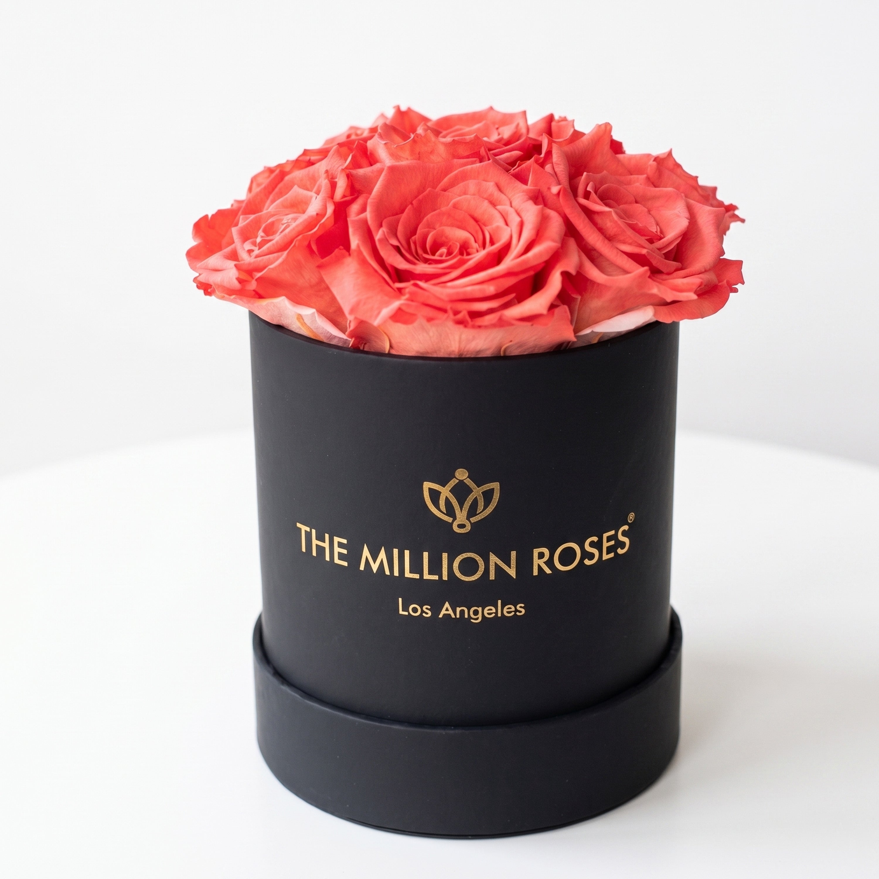 Basic Black Box | Coral Roses