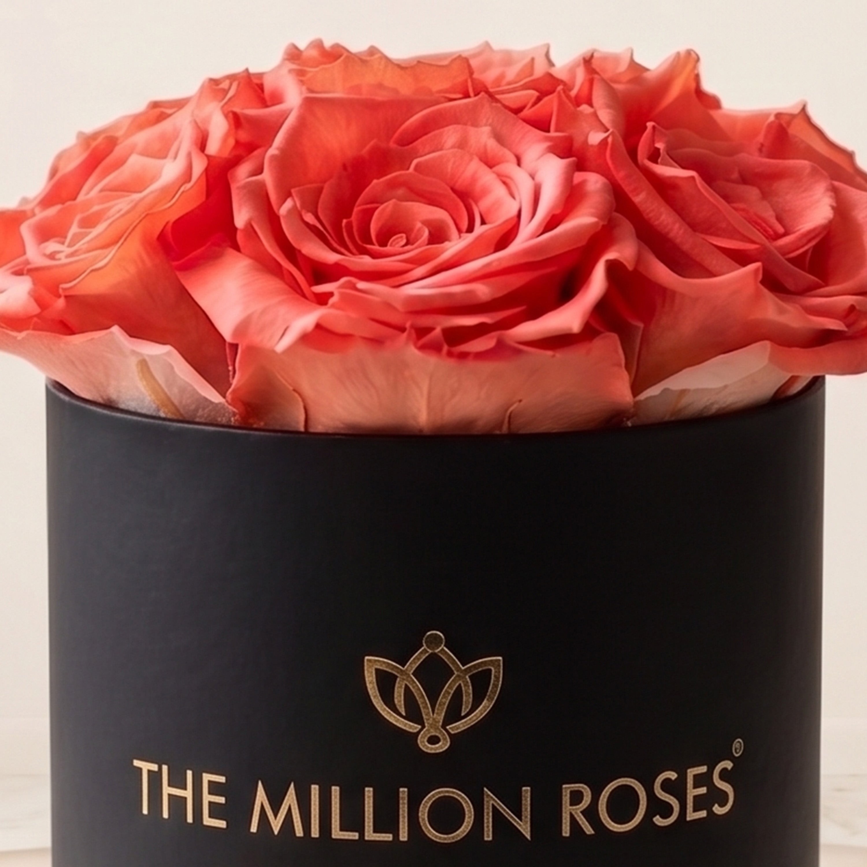 Basic Black Box | Coral Roses