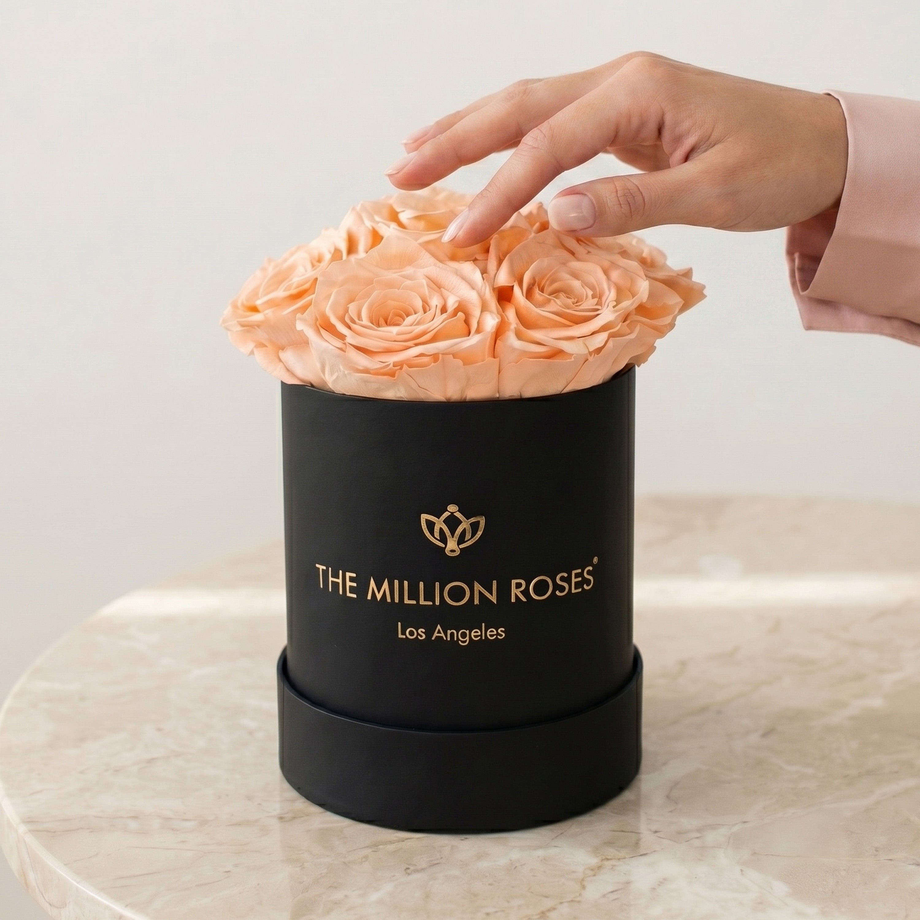 Basic Black Box | Peach Roses