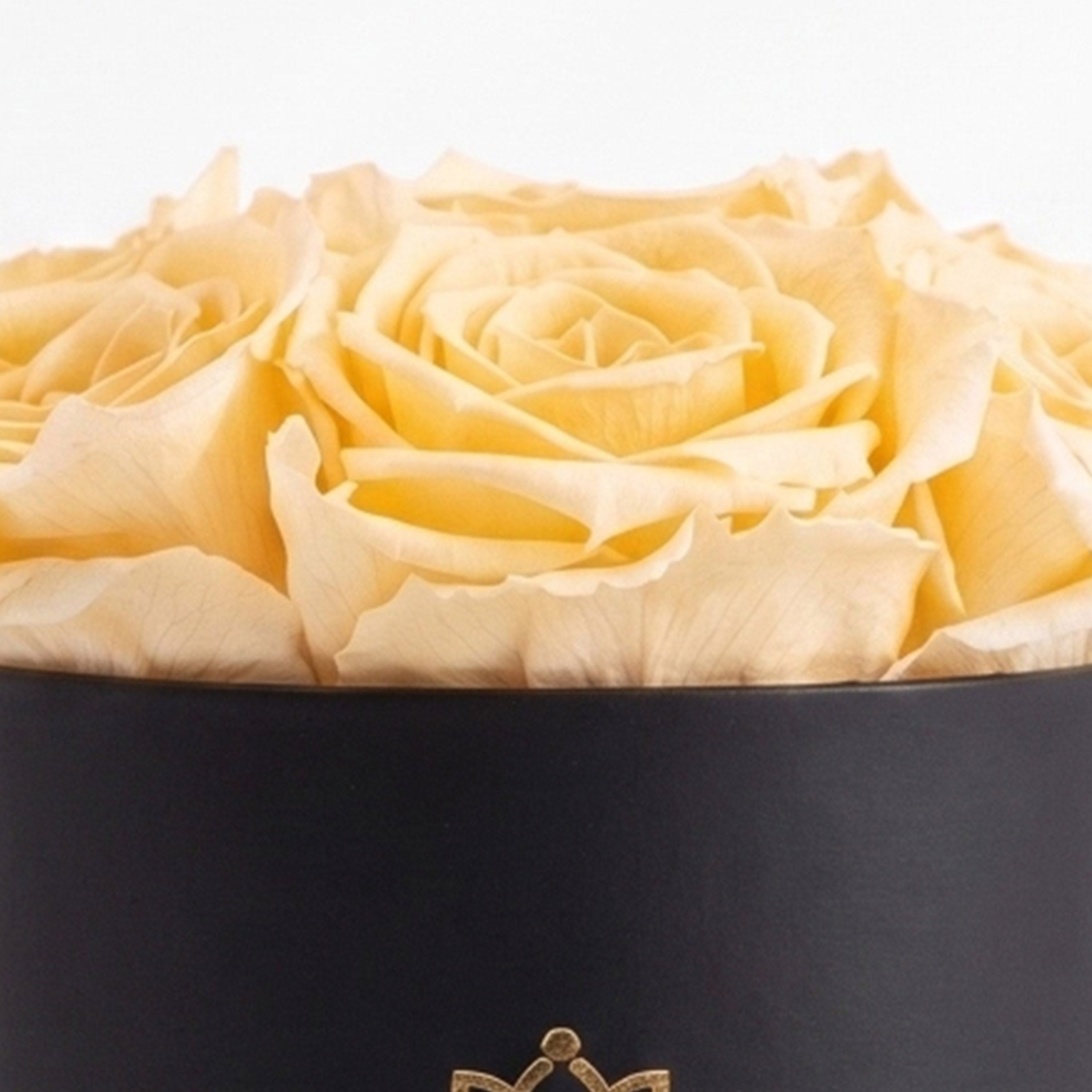 Basic Black Box | Ivory Roses