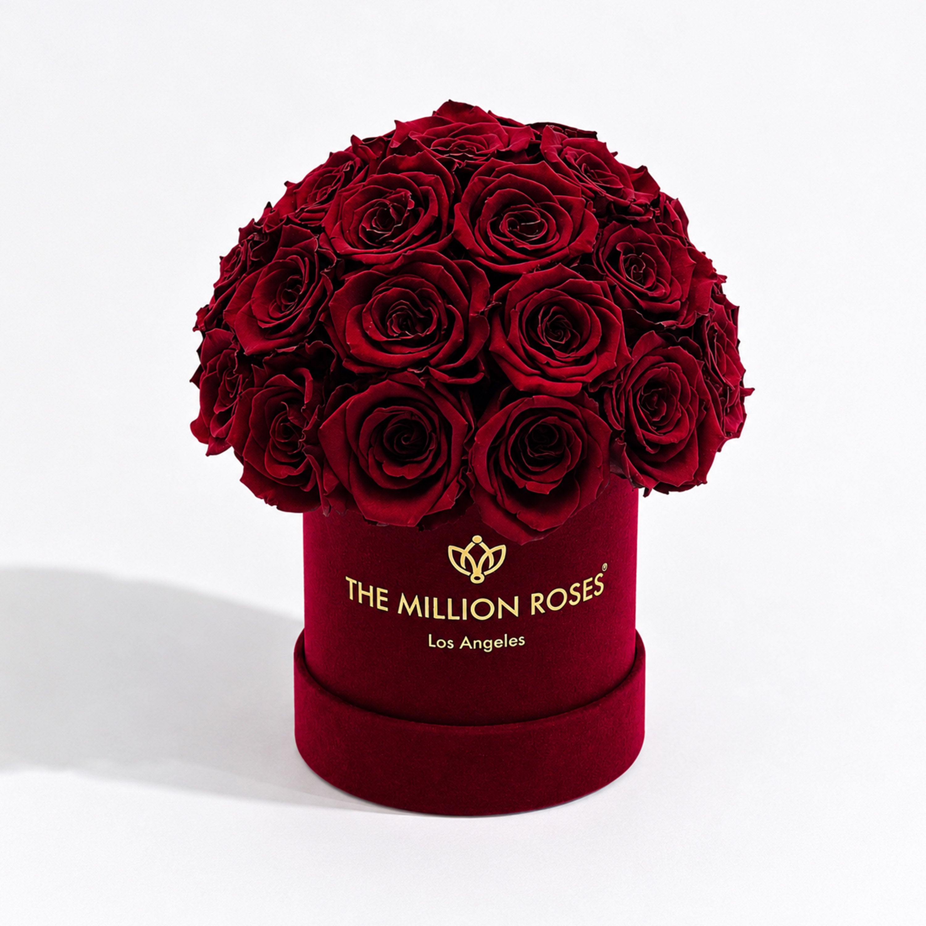 Basic Bordeaux Suede Superdome Box | Burgundy Roses