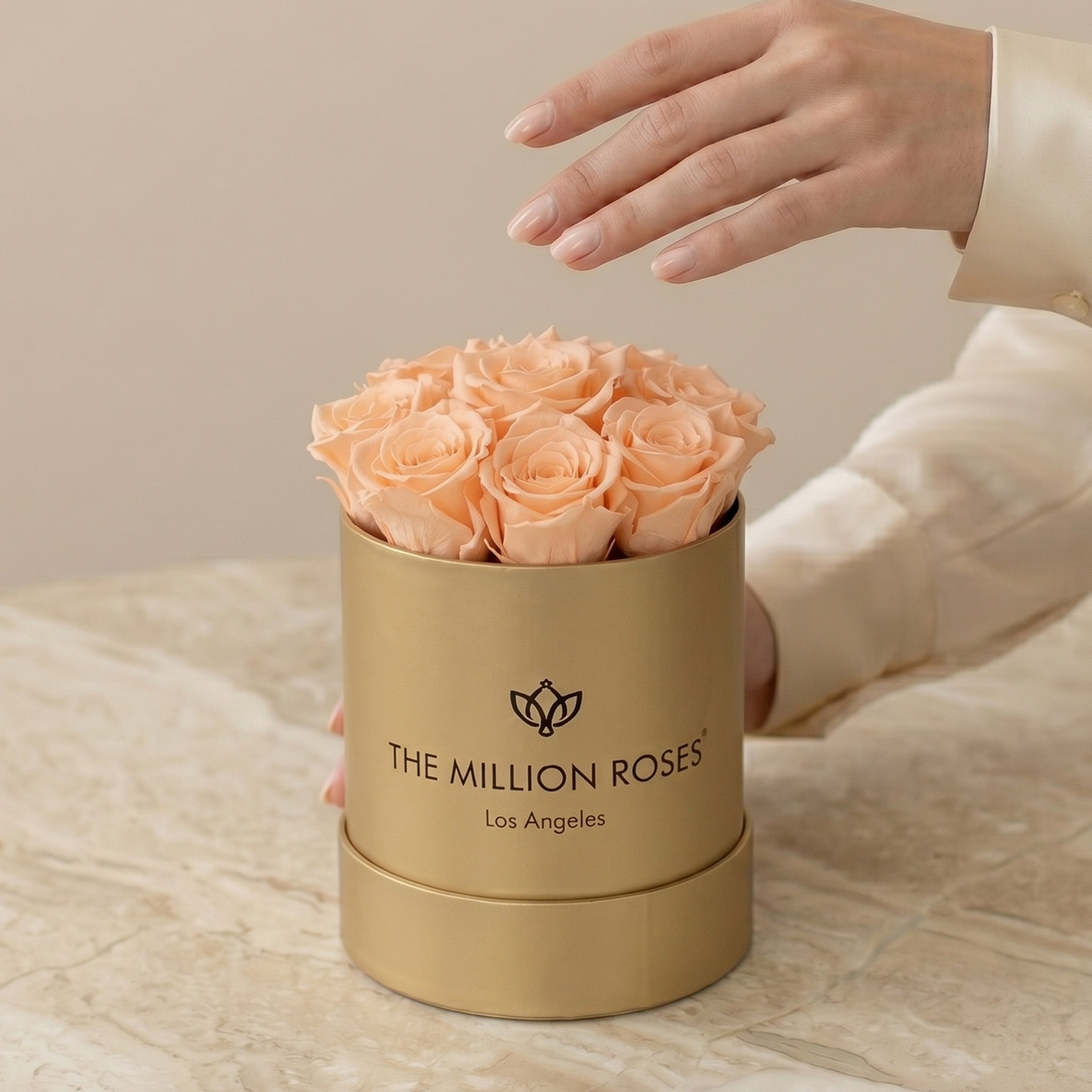 Basic Gold Box | Ivory Roses