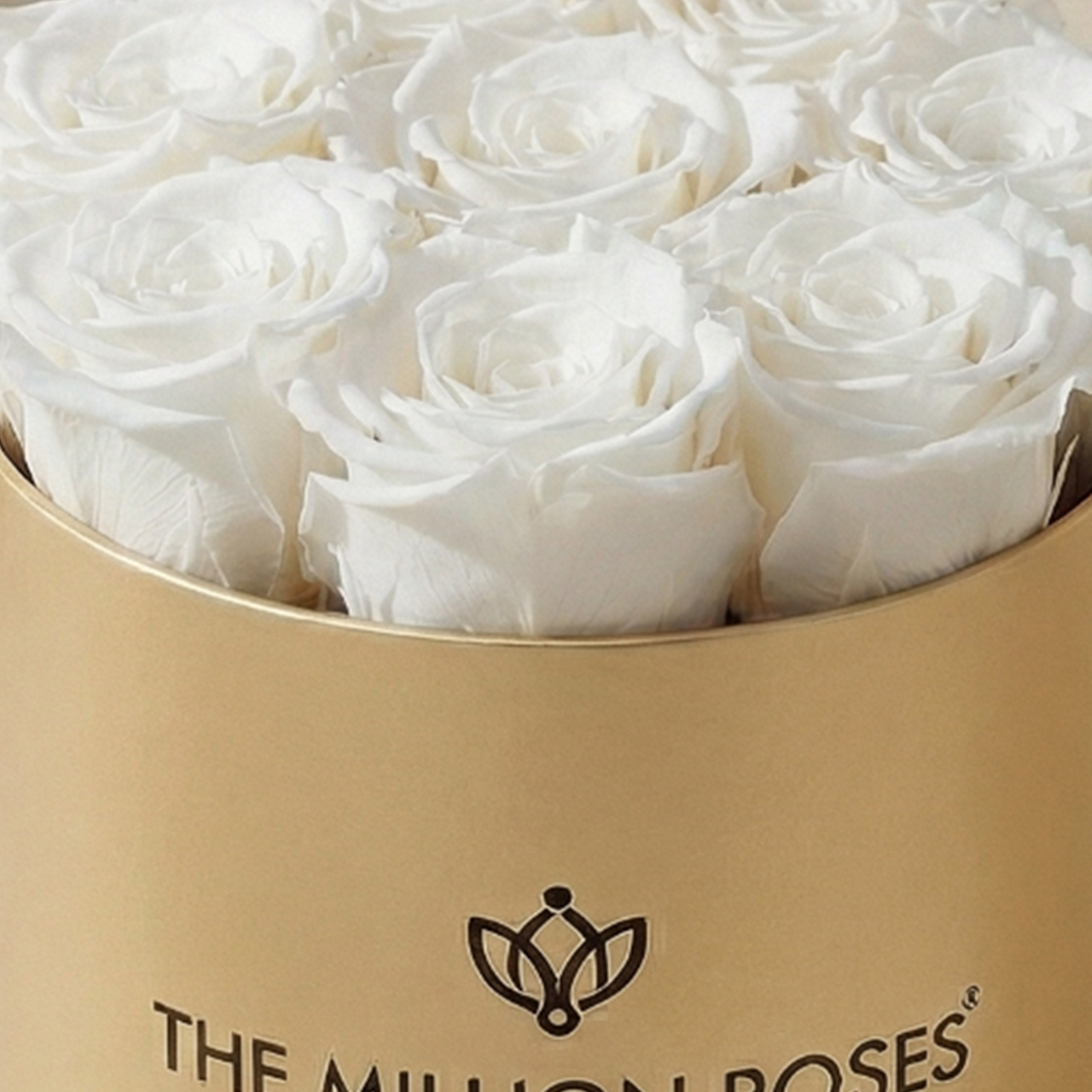 Basic Gold Box | White Roses