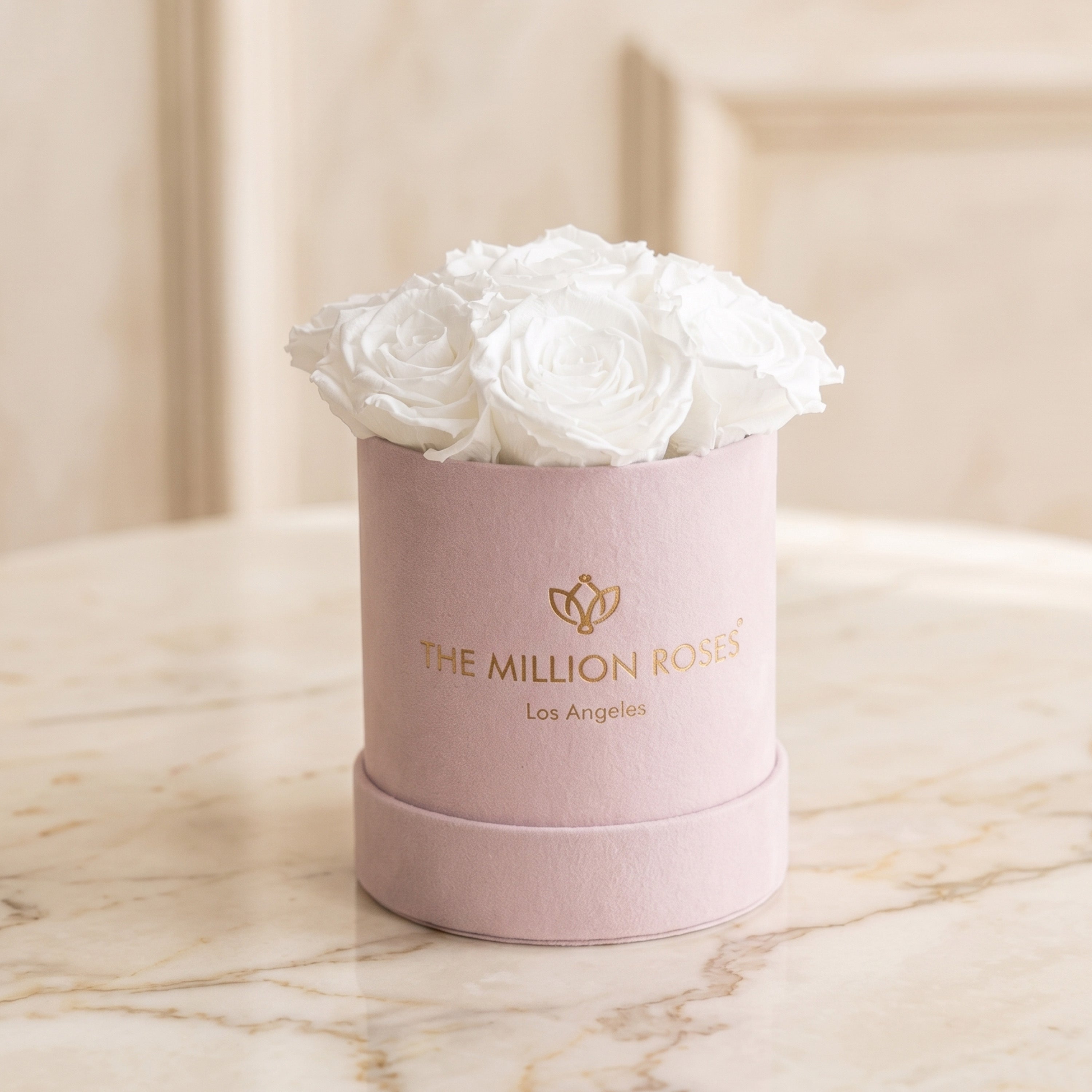 Basic Light Pink Suede Box | White Roses