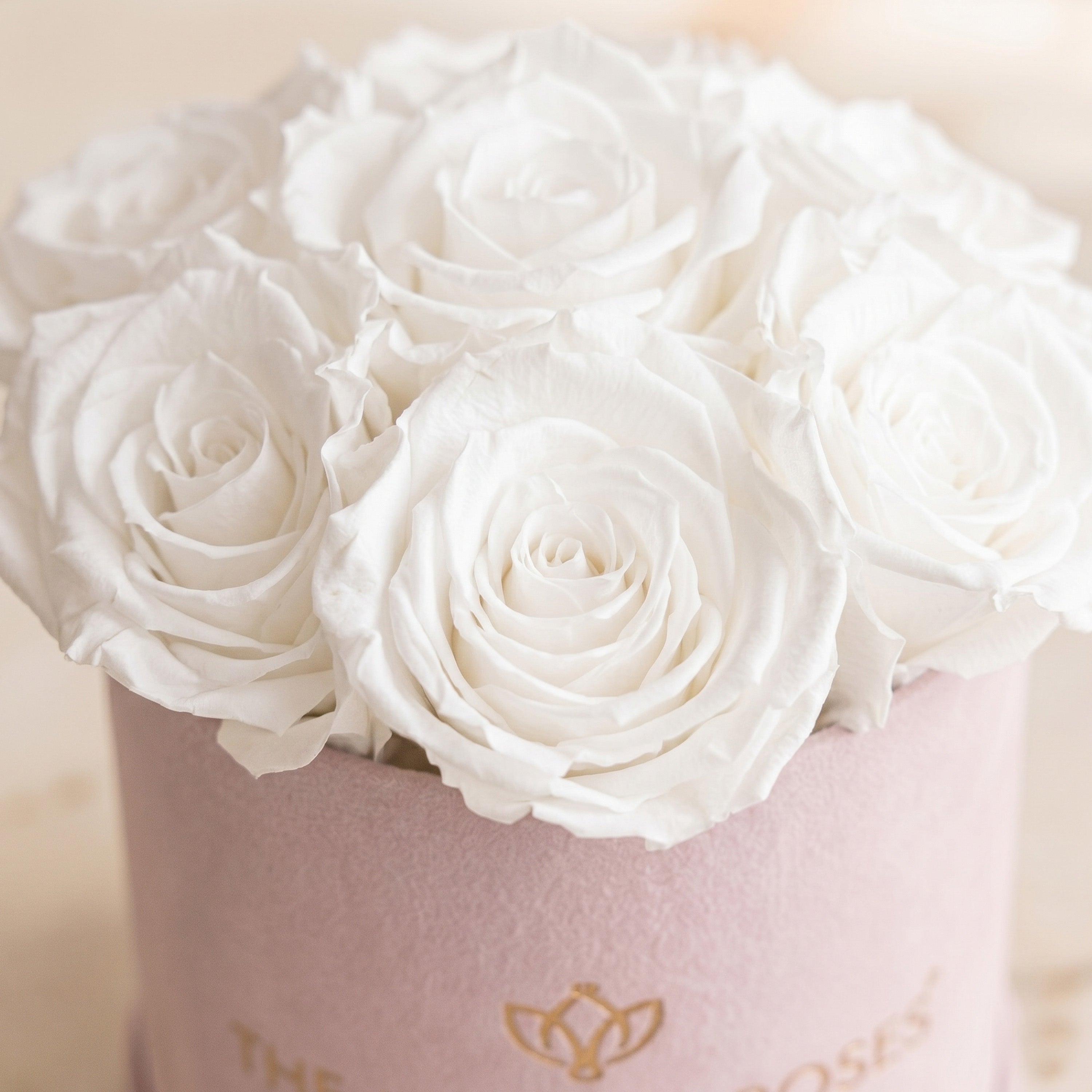Basic Light Pink Suede Box | White Roses