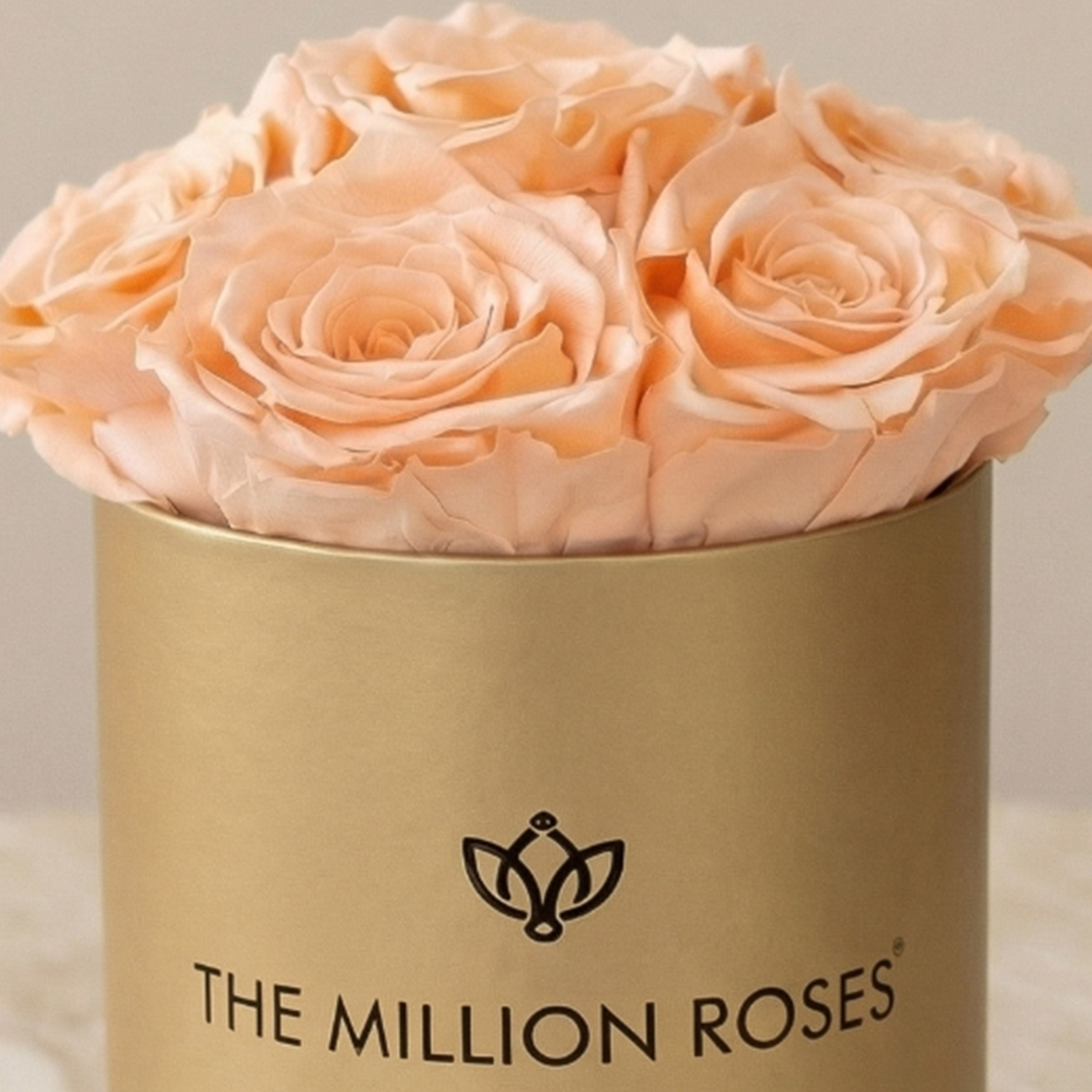 Essence Gold Box | Peach Roses