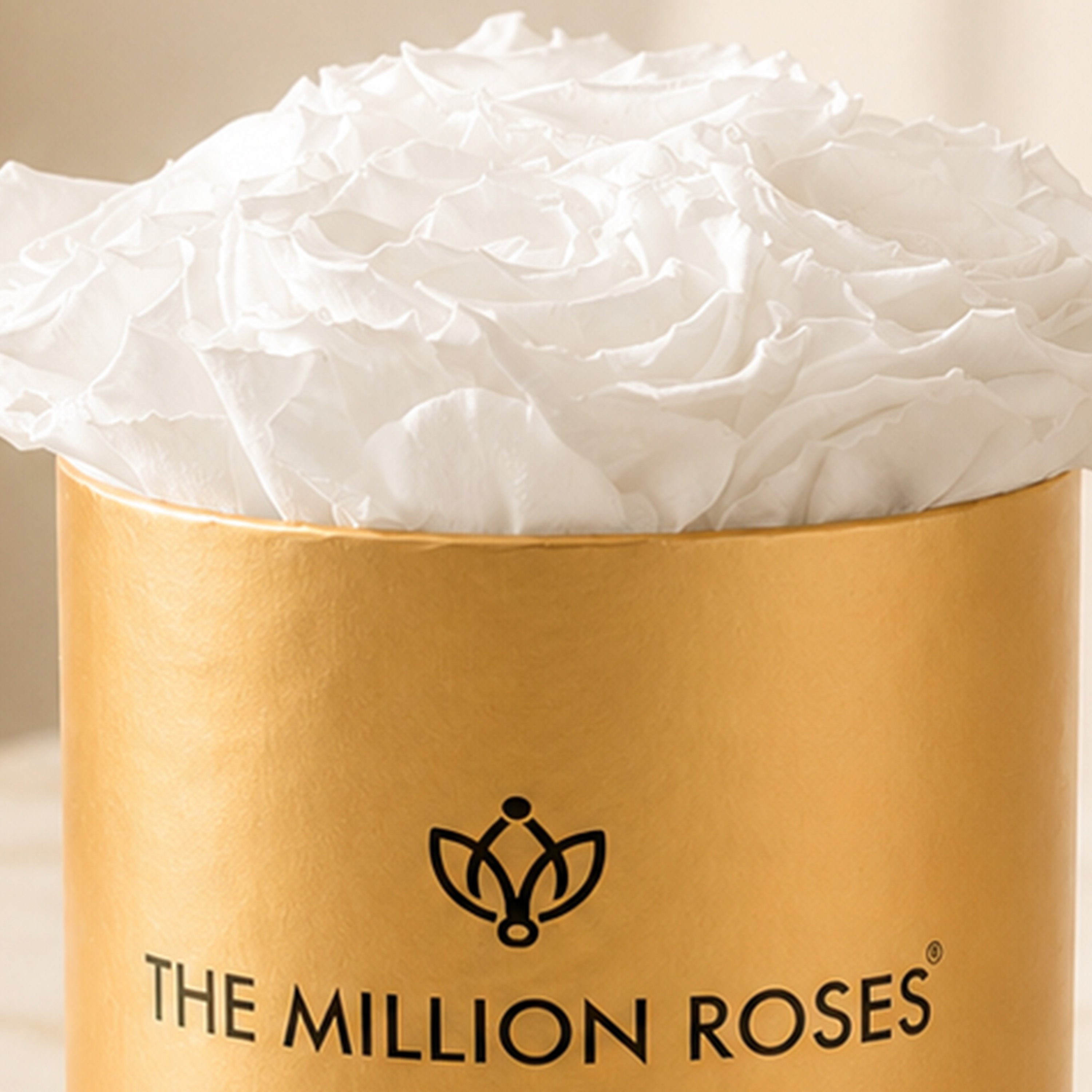 Basic Gold Box | White Roses