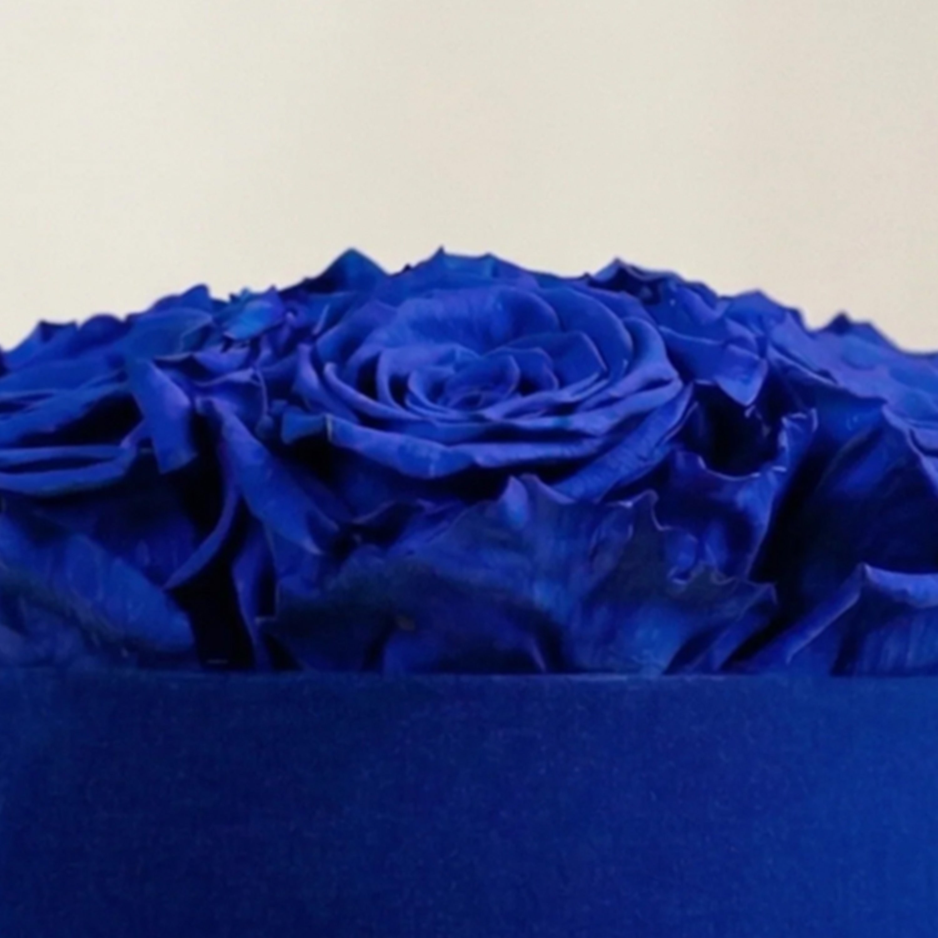 Basic Royal Blue Suede Box | Royal Blue Roses
