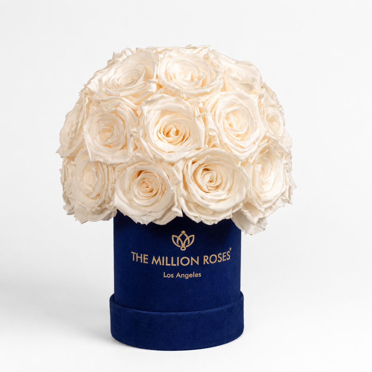 Basic Royal Blue Suede Superdome Box | White Roses