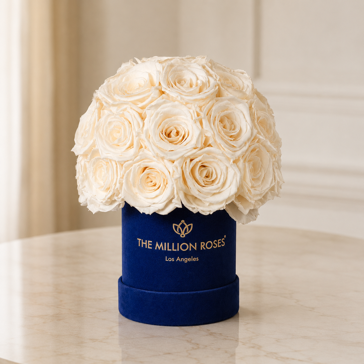 Basic Royal Blue Suede Superdome Box | White Roses