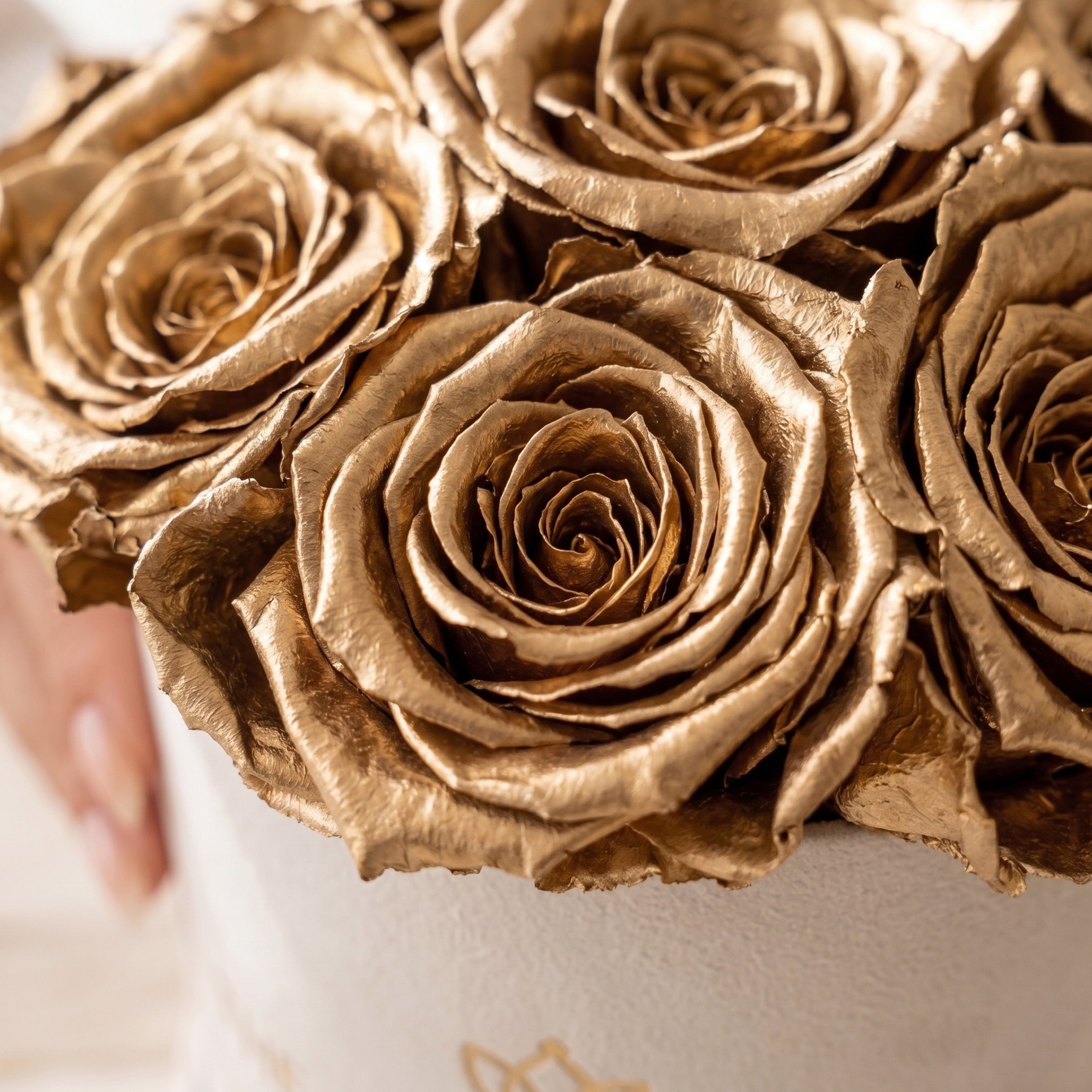 Basic Beige Suede Box | Gold Roses