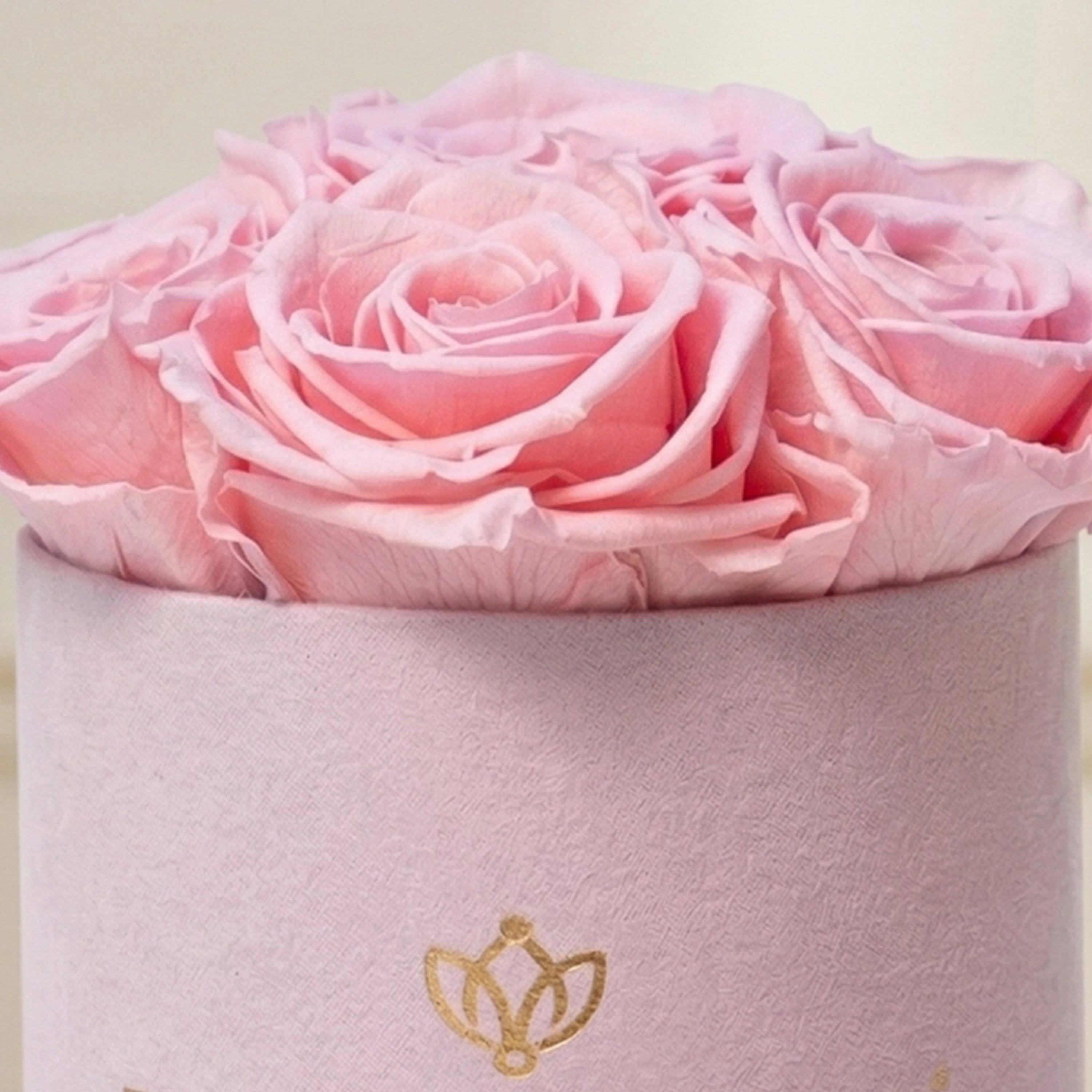 Basic Light Pink Suede Box | Light Pink Roses