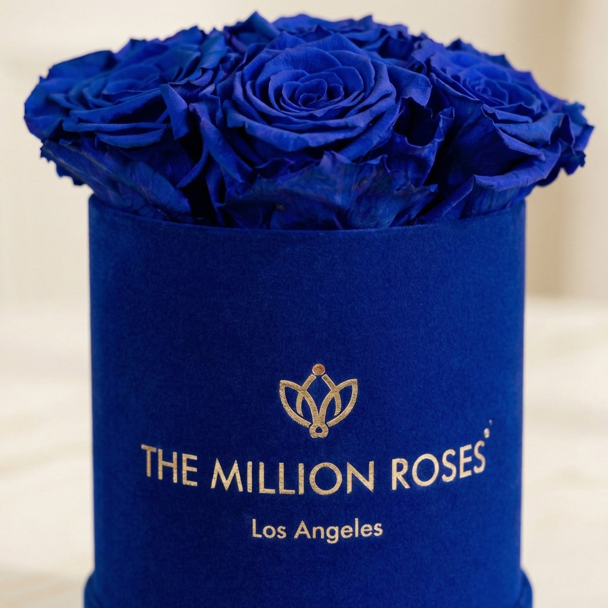 Blue Roses - Preserved Blue Roses in a Box | The Million Roses®