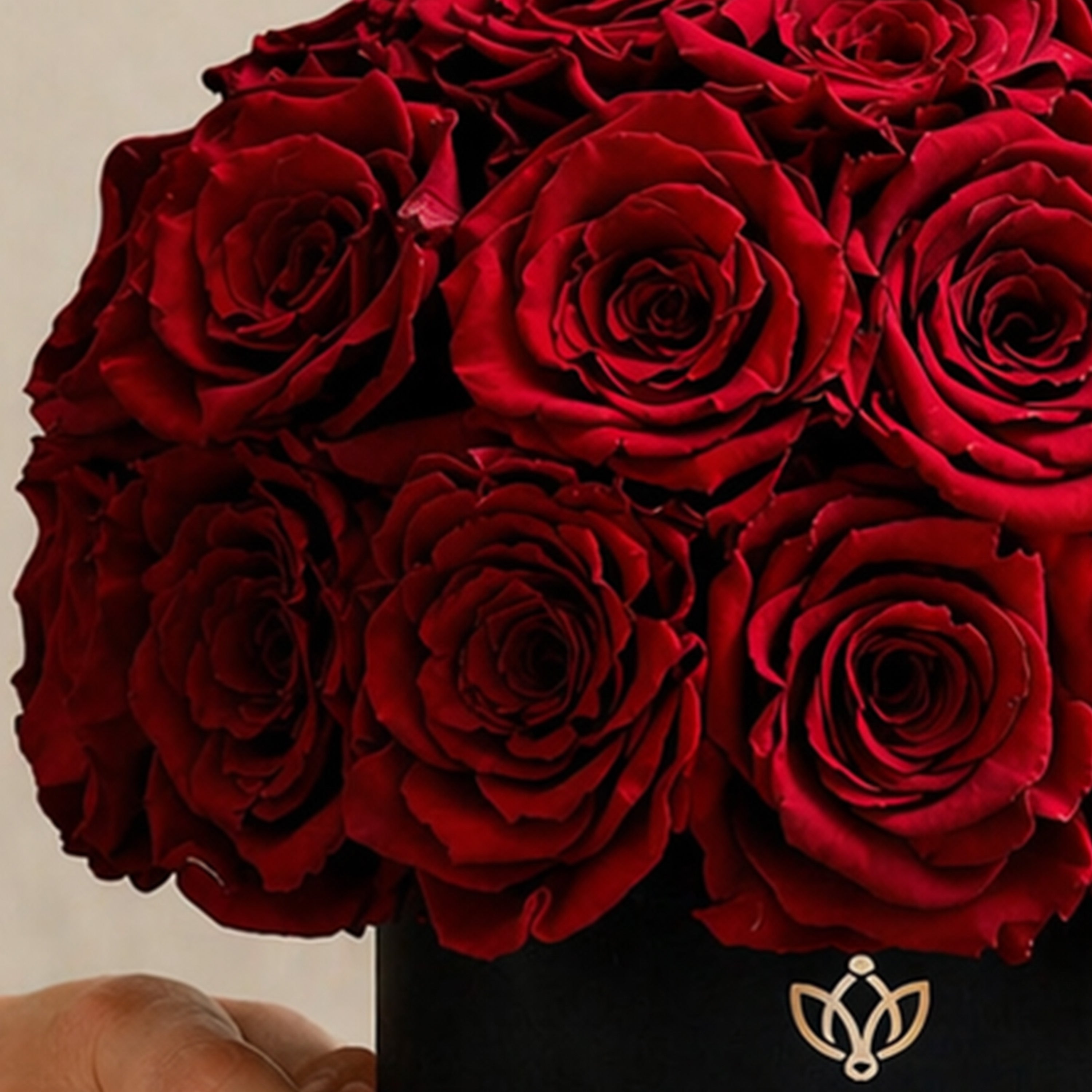 Basic Black Superdome Box | Red Roses
