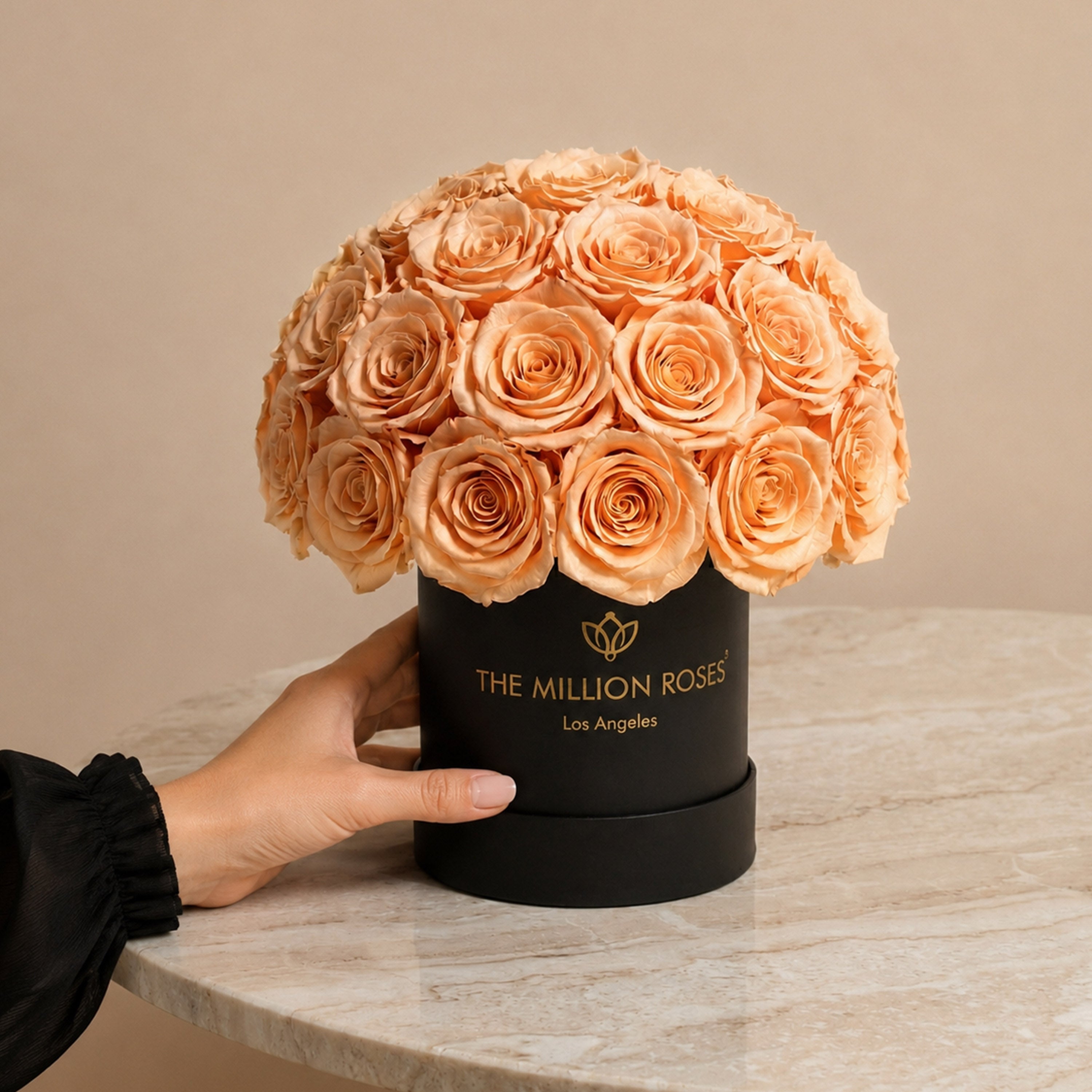 Essence Black Superdome Box | Peach Roses