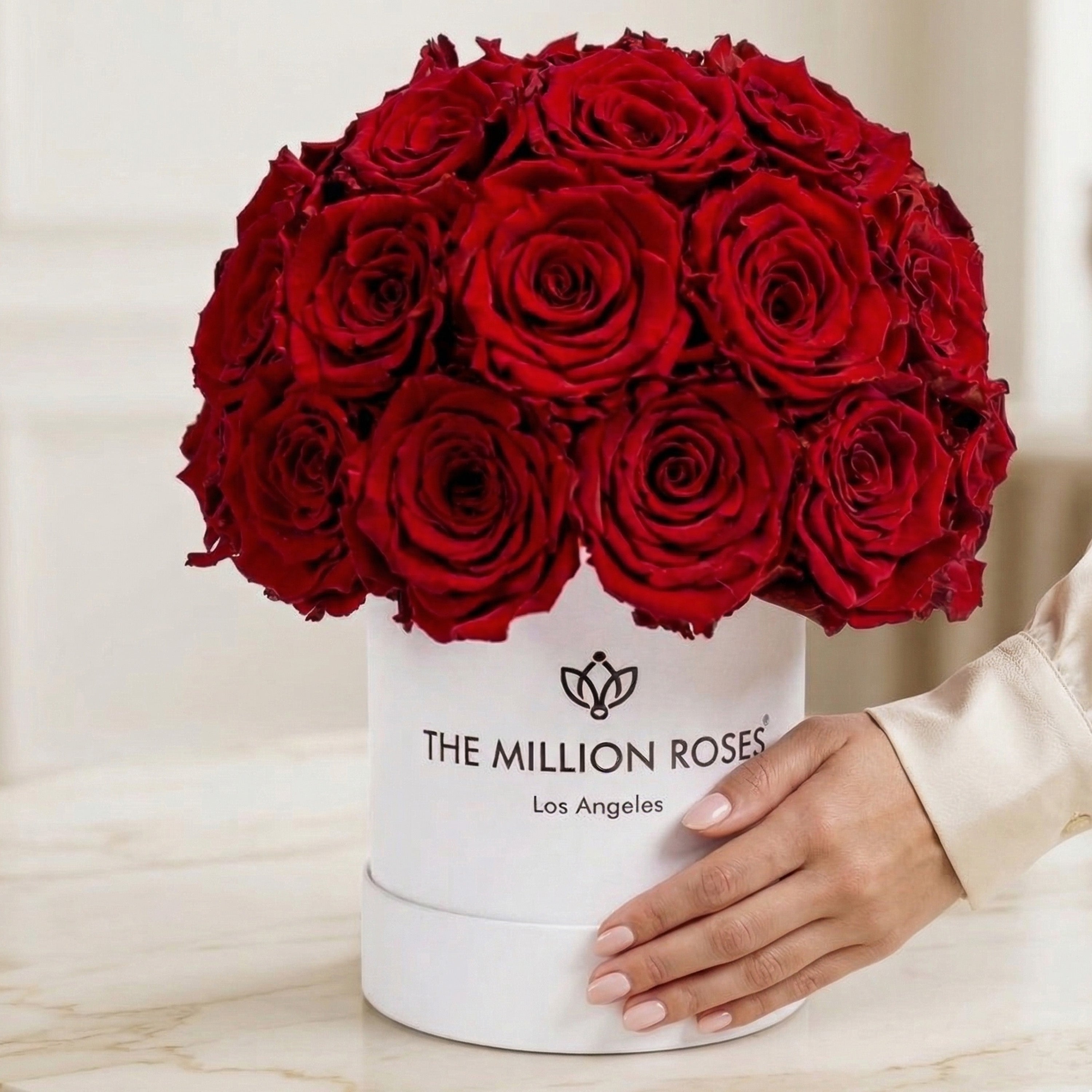 Boîte Superdome blanche de base | Roses rouges