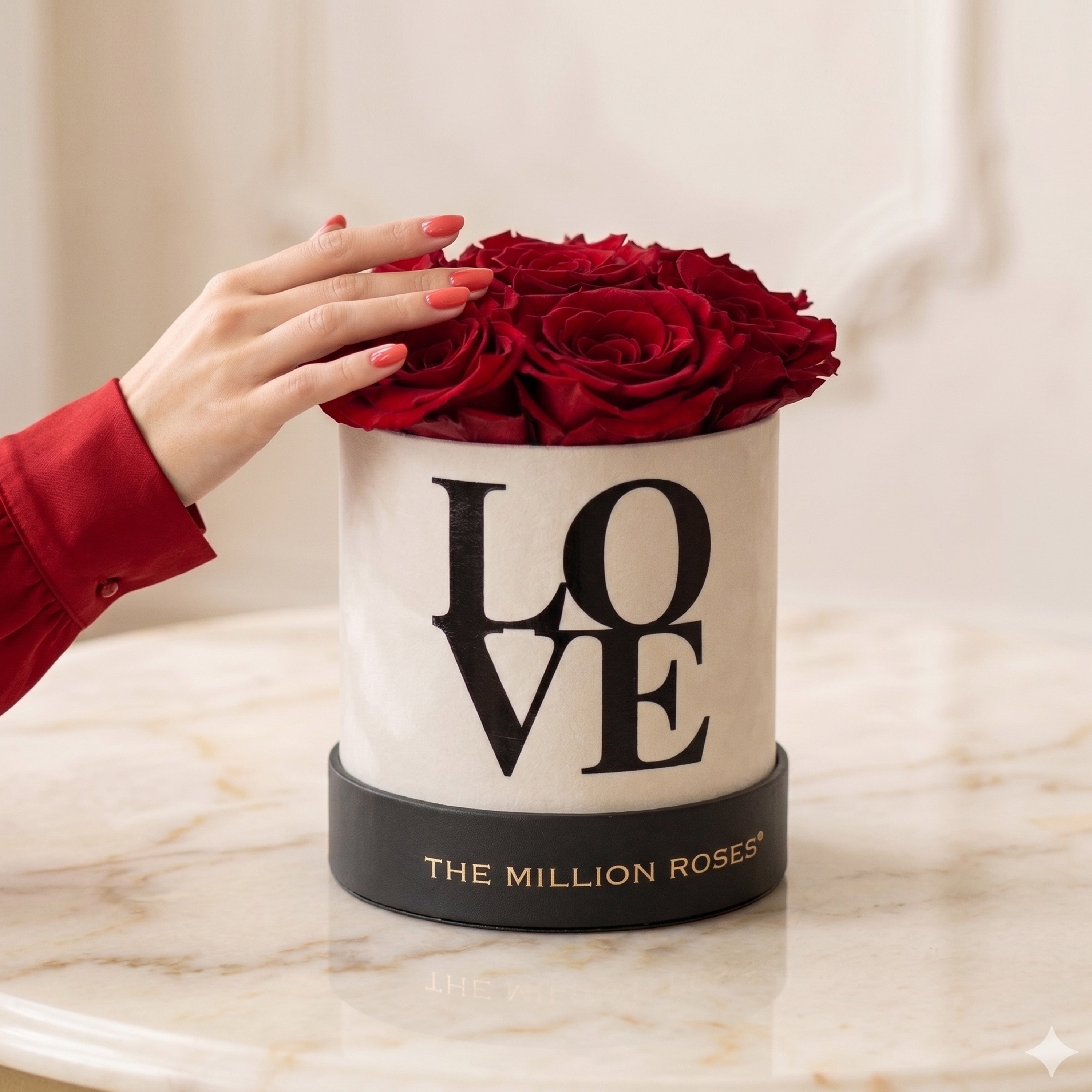 Basic White Box | Love Edition | Red Roses