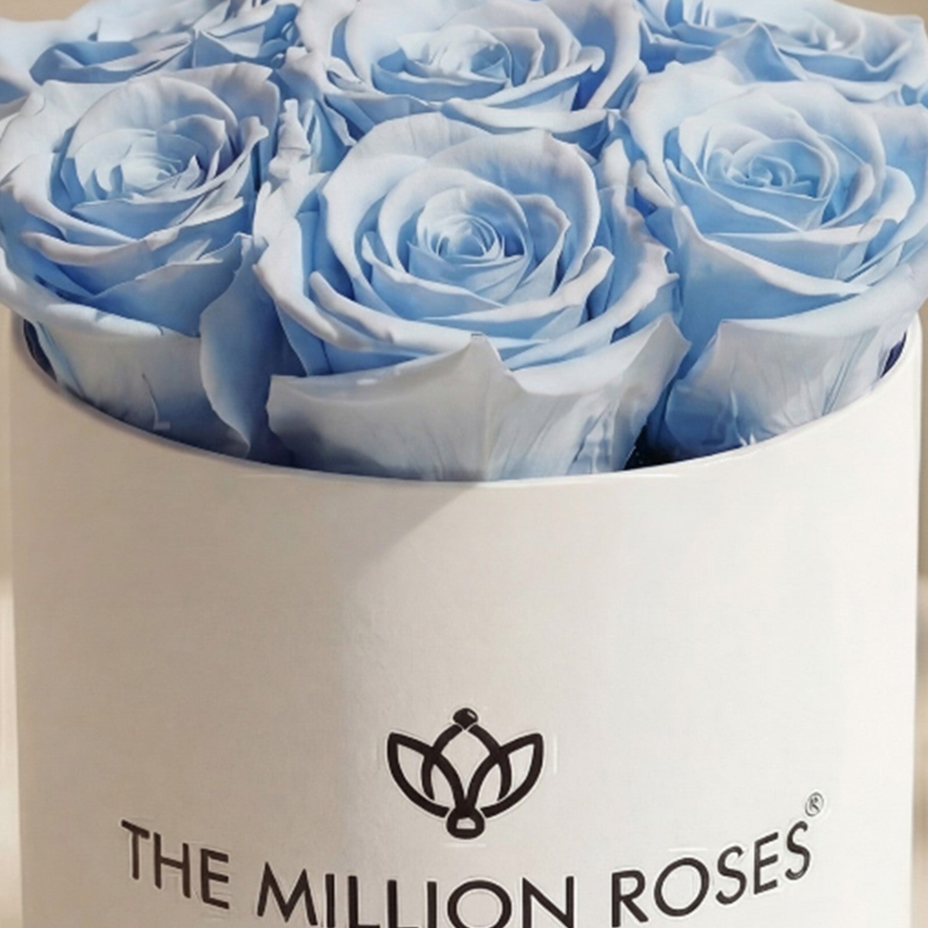 Essence White Box | Light Blue Roses