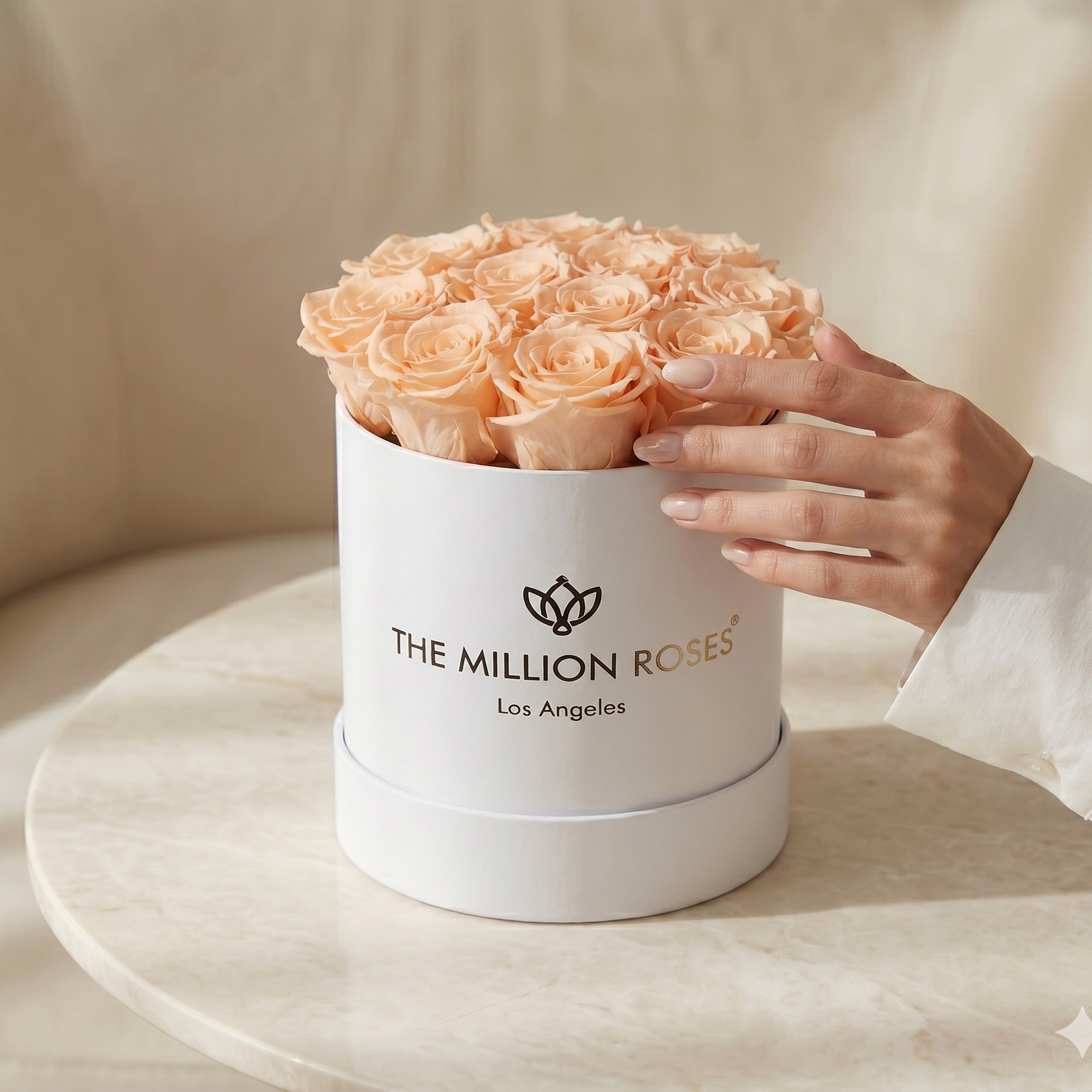 Basic White Box | Peach Roses