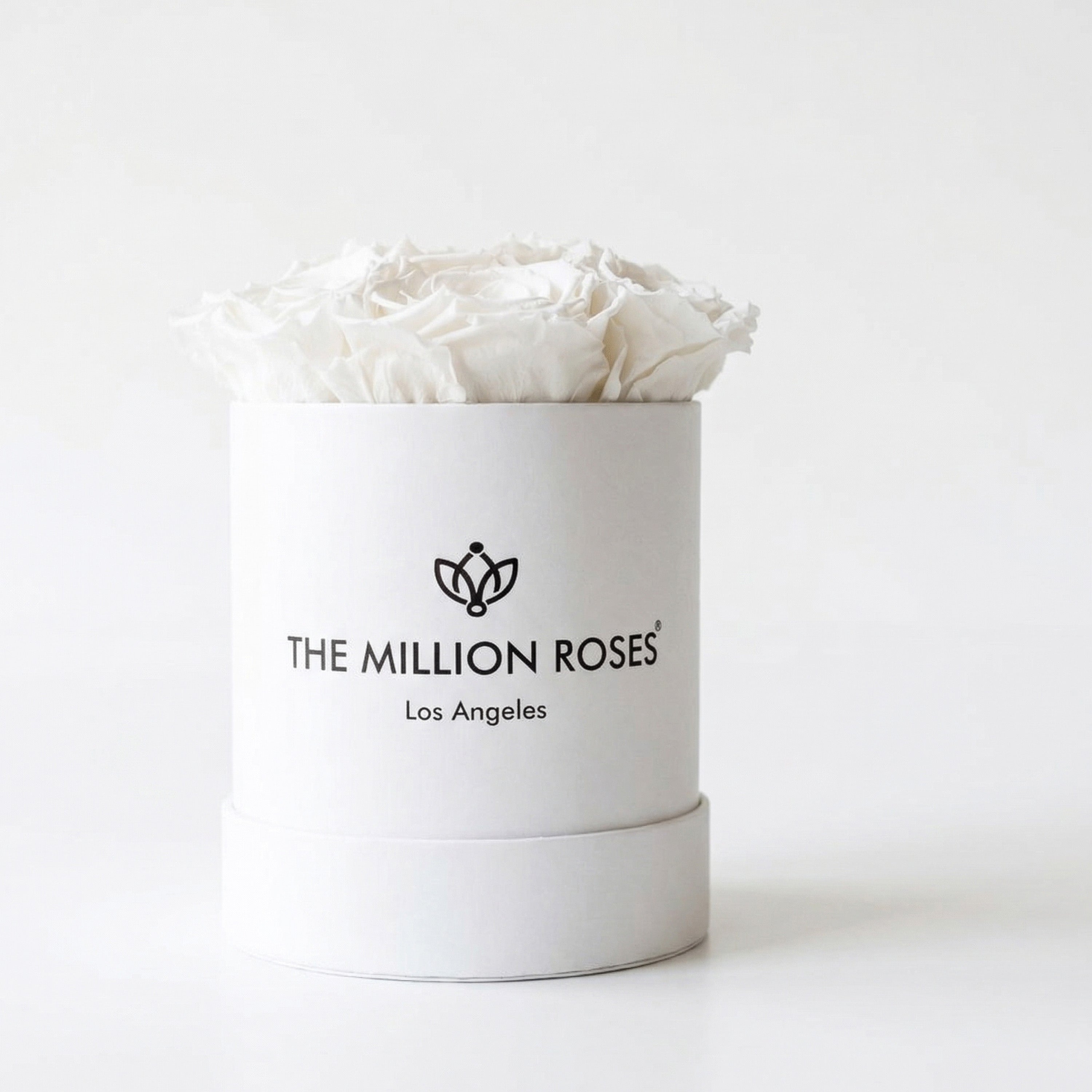 Basic White Box | White Roses