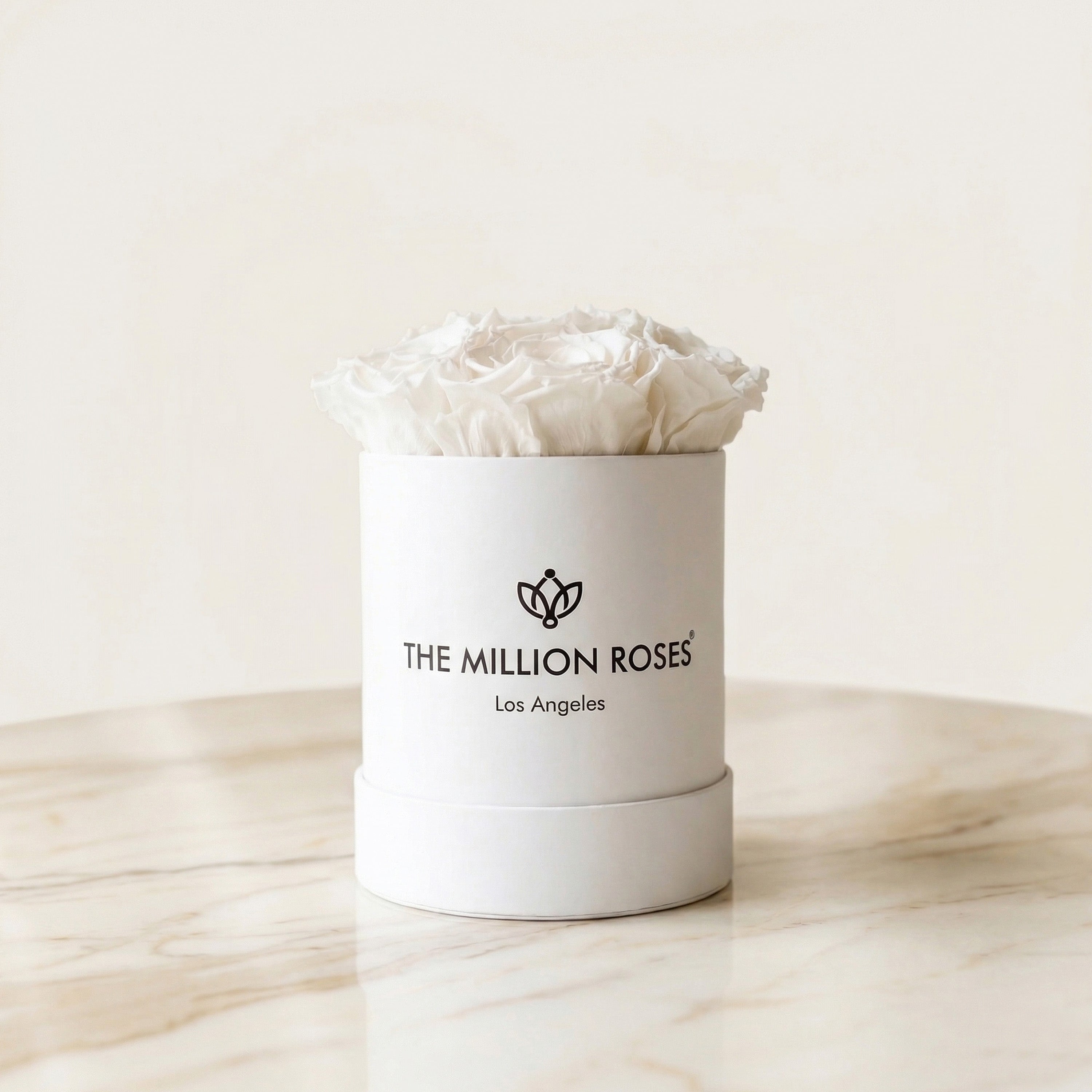 Basic White Box | White Roses