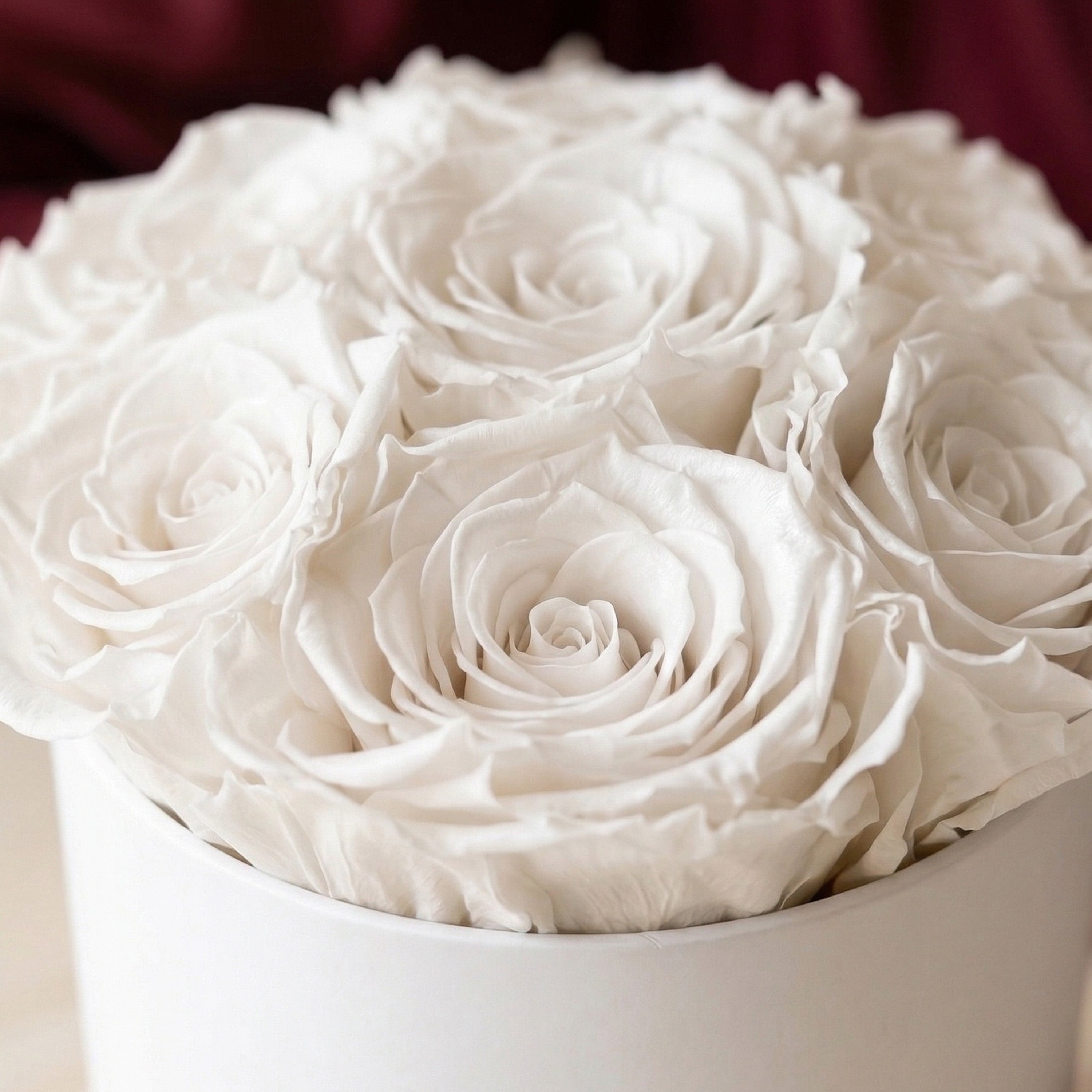 Basic White Box | White Roses