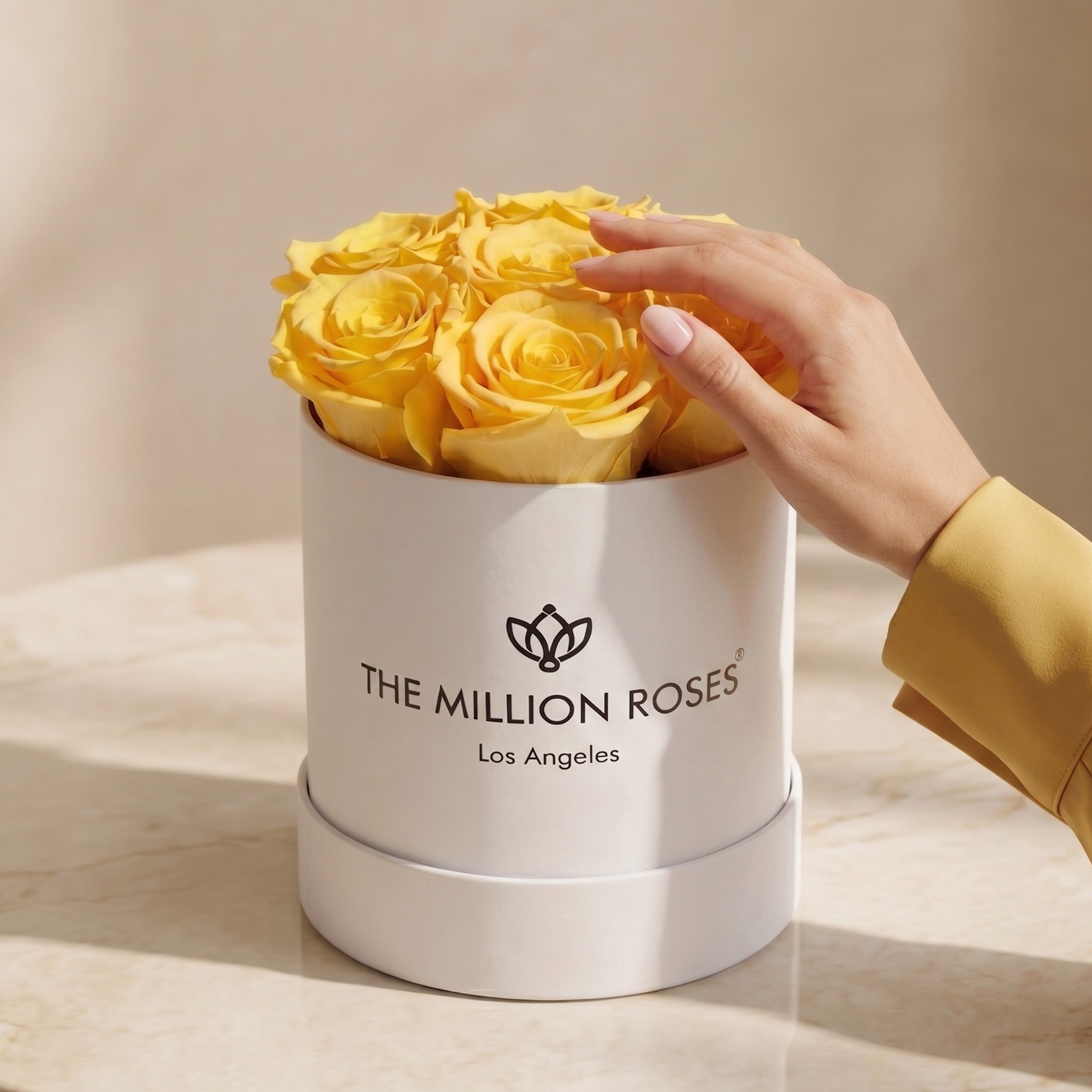 Basic White Box | Yellow Roses