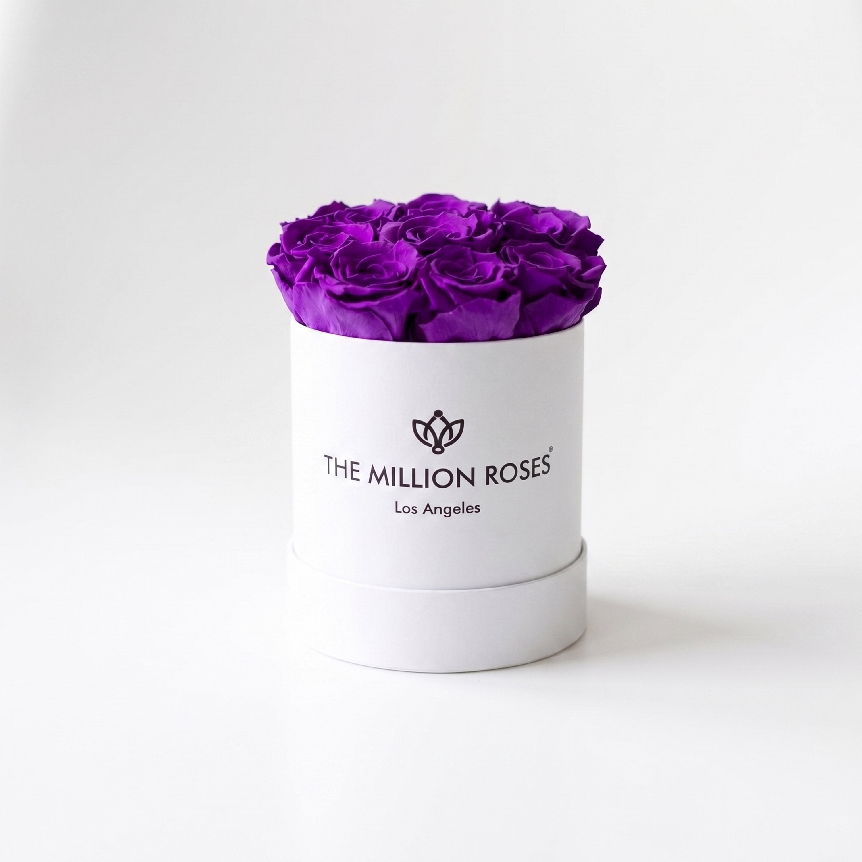 Basic White Box | Bright Purple Roses